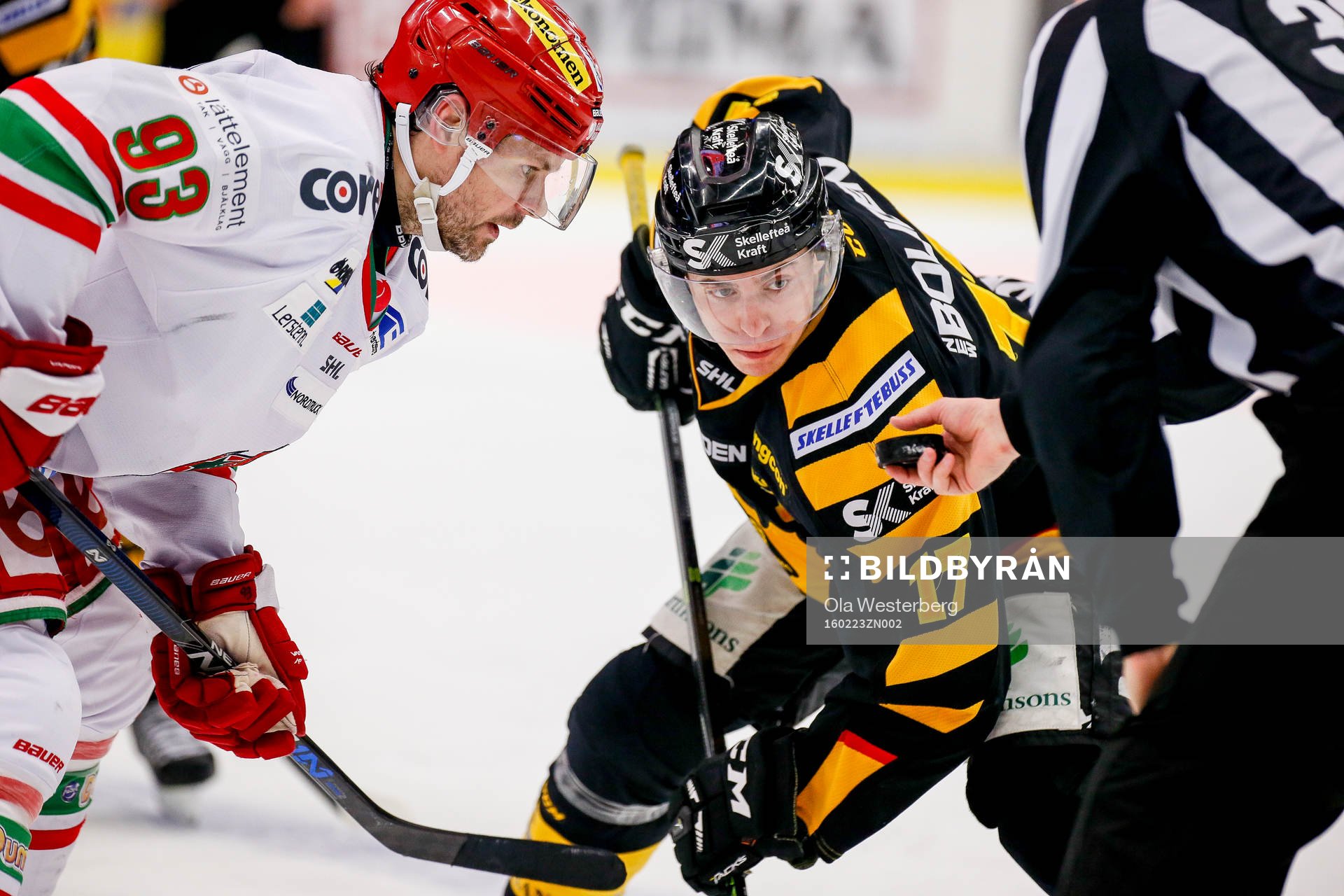 Skellefteås Pär Lindholm