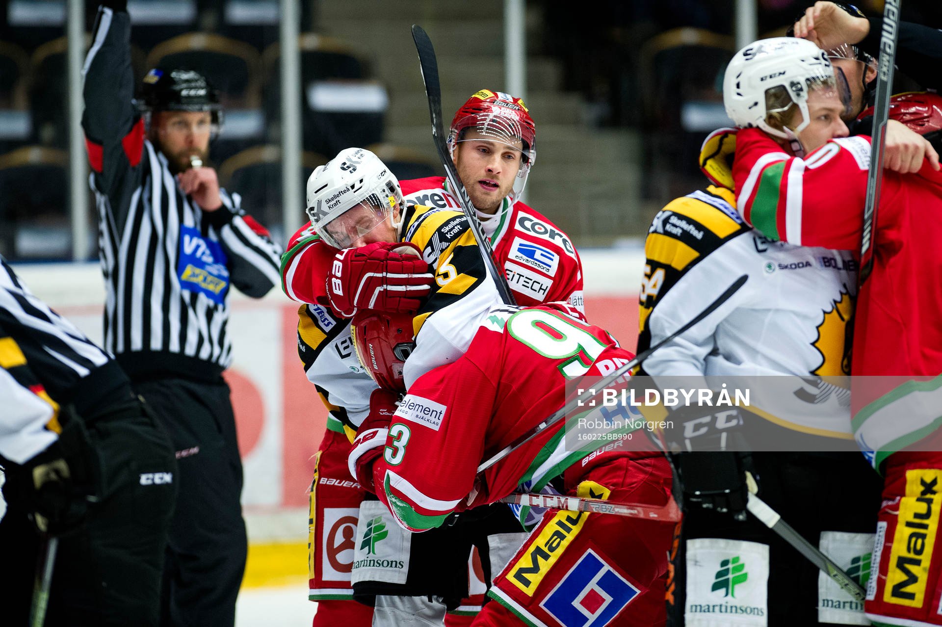 Skellefteås Niclas Burström, Modos Ilari Filppula, Byron