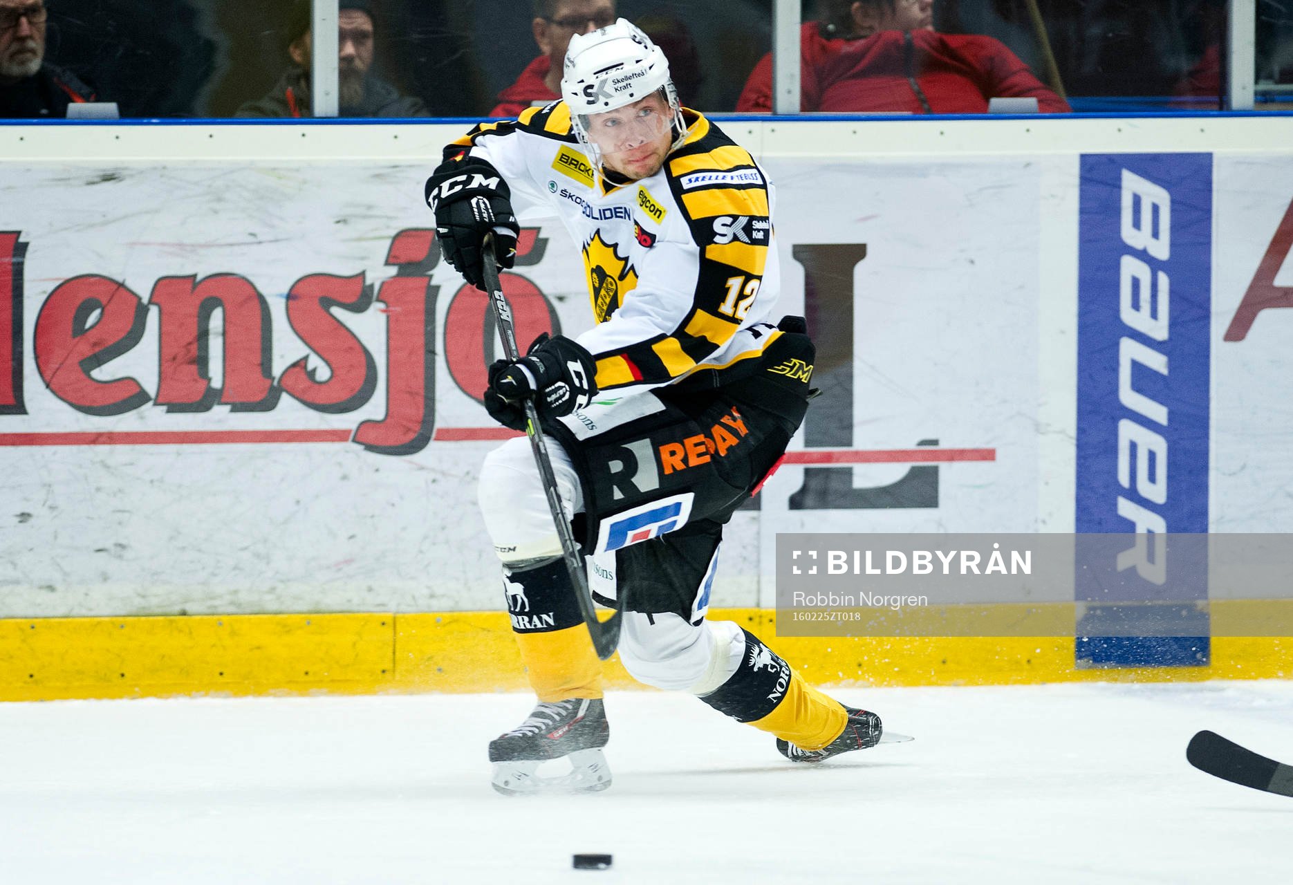 Skellefteås Adam Pettersson