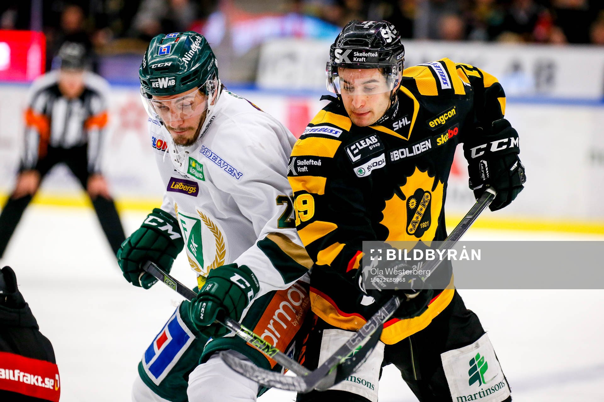 Skellefteås Andrew Calof