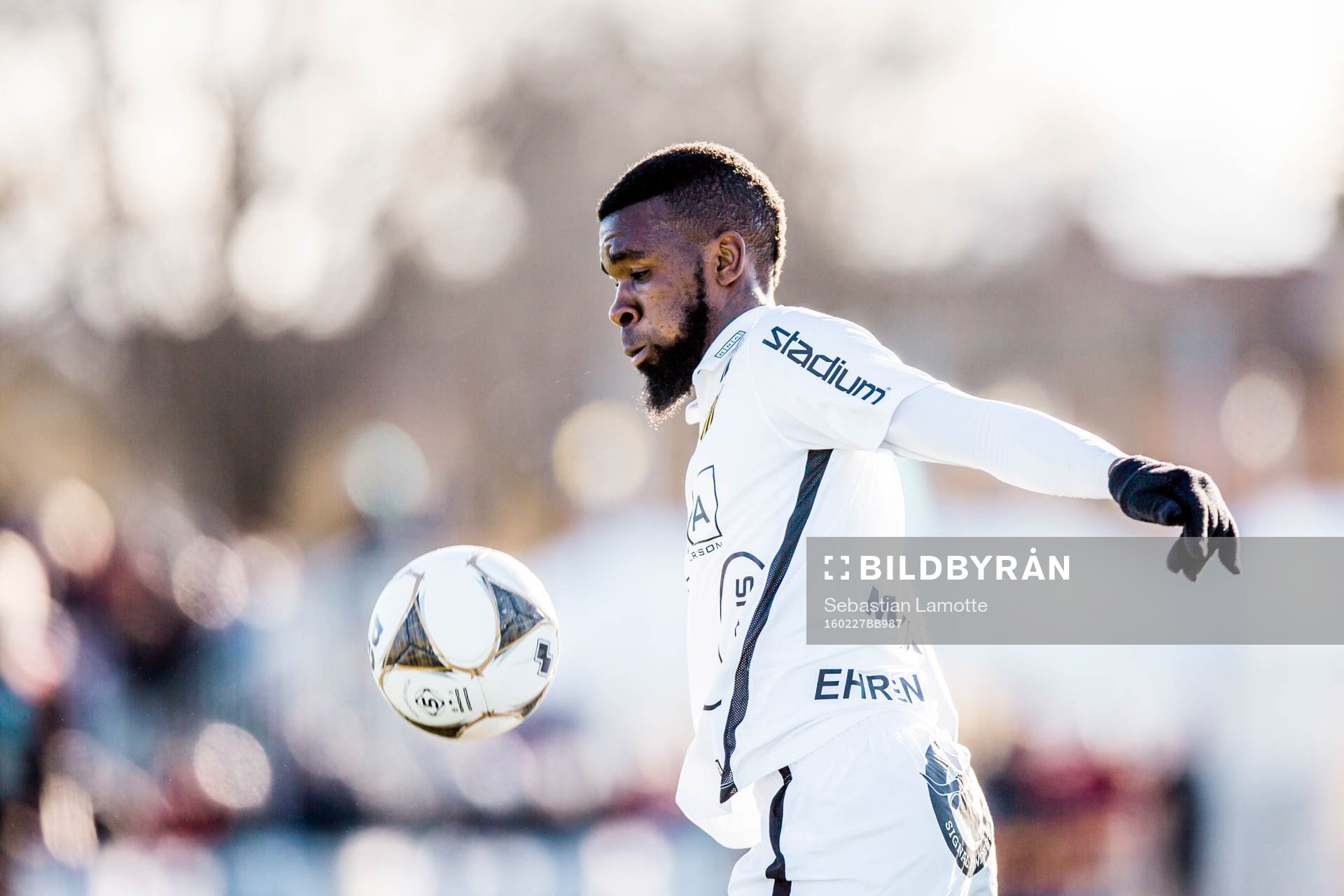 Häckens Tefu Mashamaite