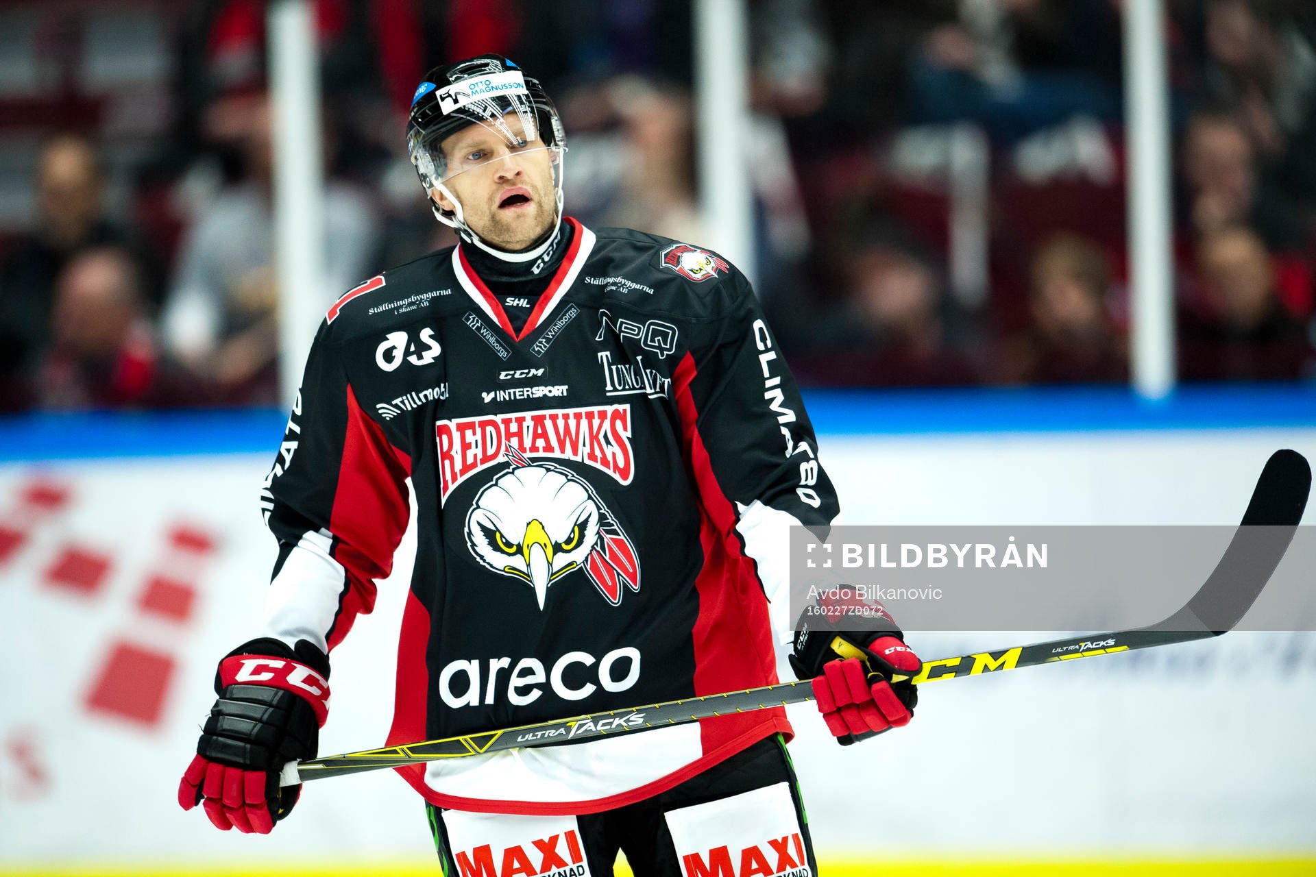 Malmö Redhawks Joey Tenute