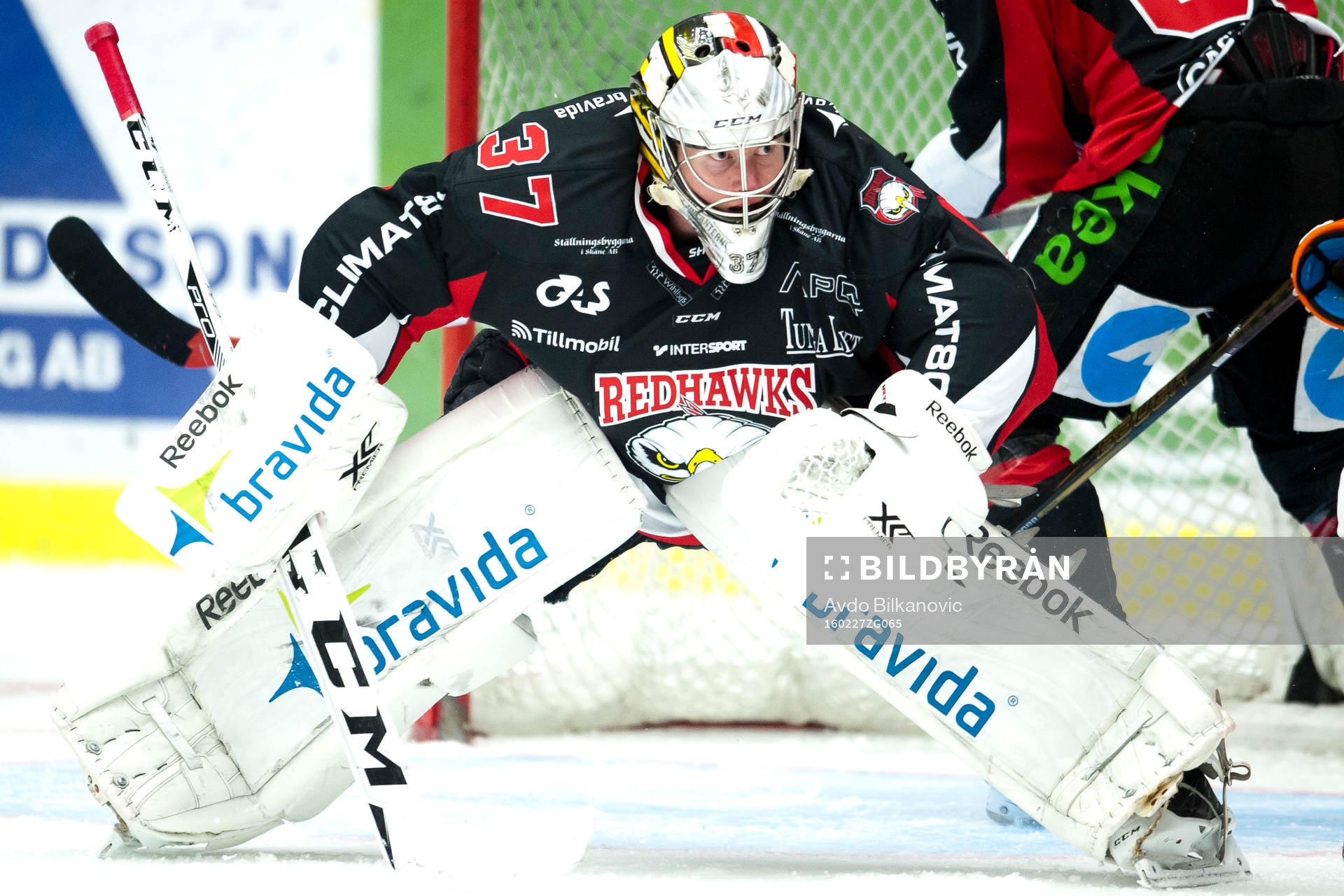 Malmö Redhawks målvakt Pontus Sjögren
