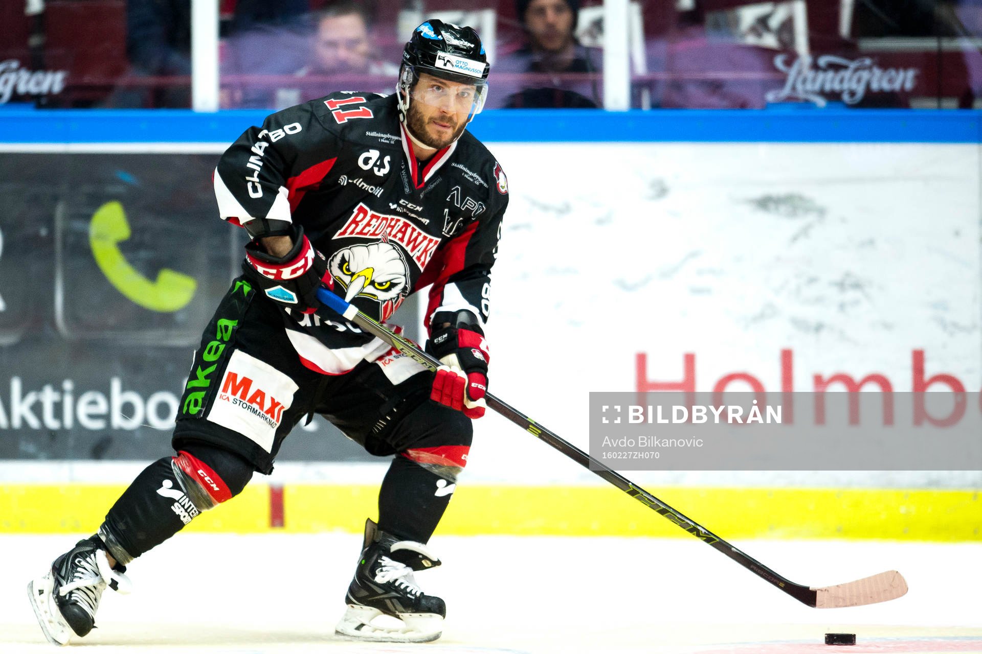 Malmö Redhawks Joey Tenute
