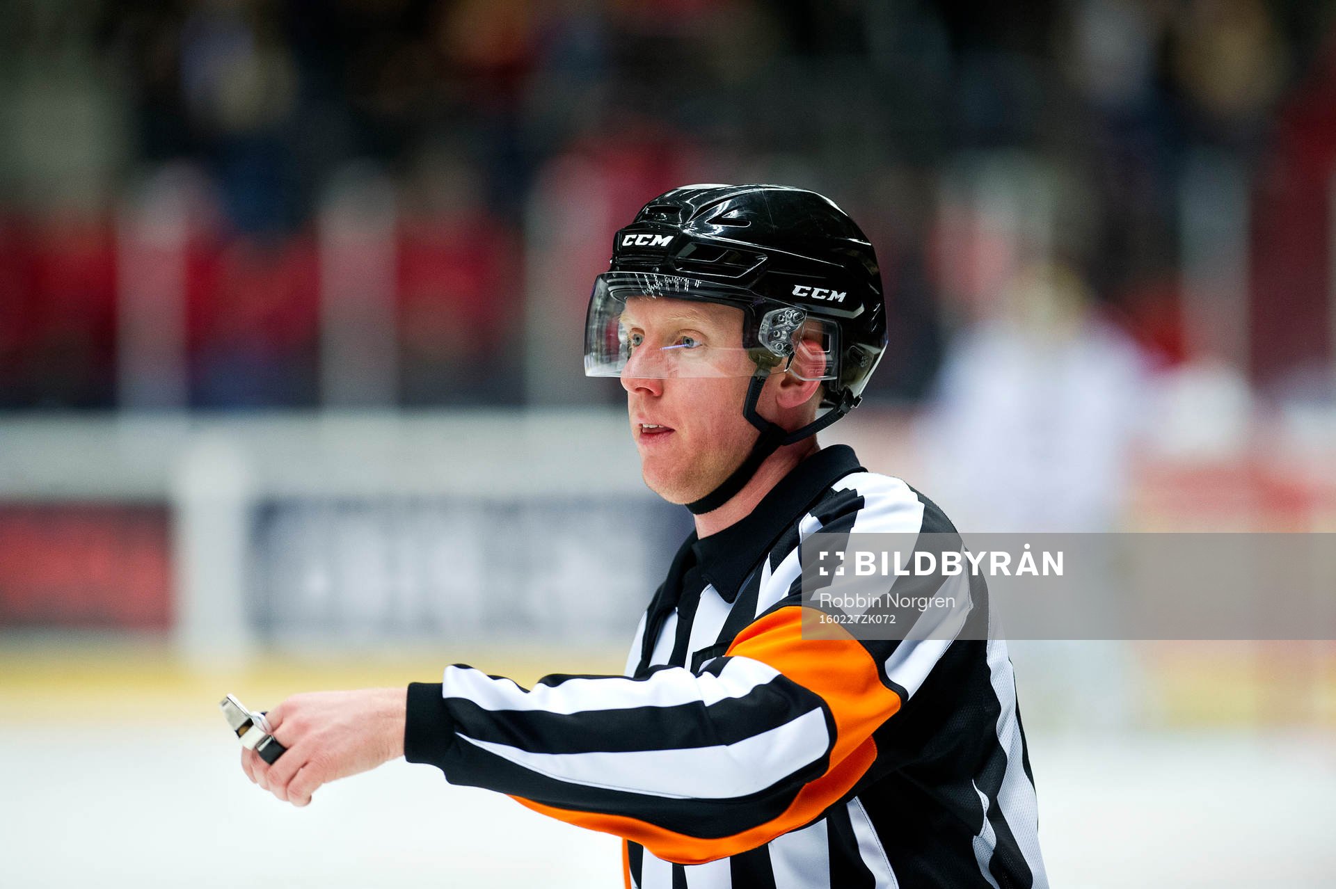 Domaren Mikael Holm