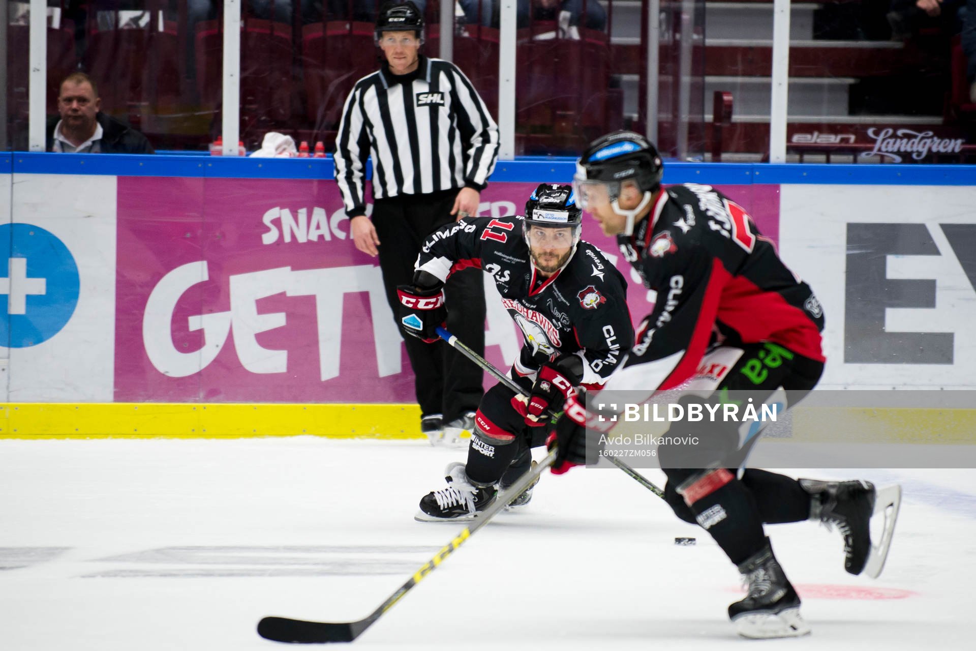 Malmö Redhawks Joey Tenute