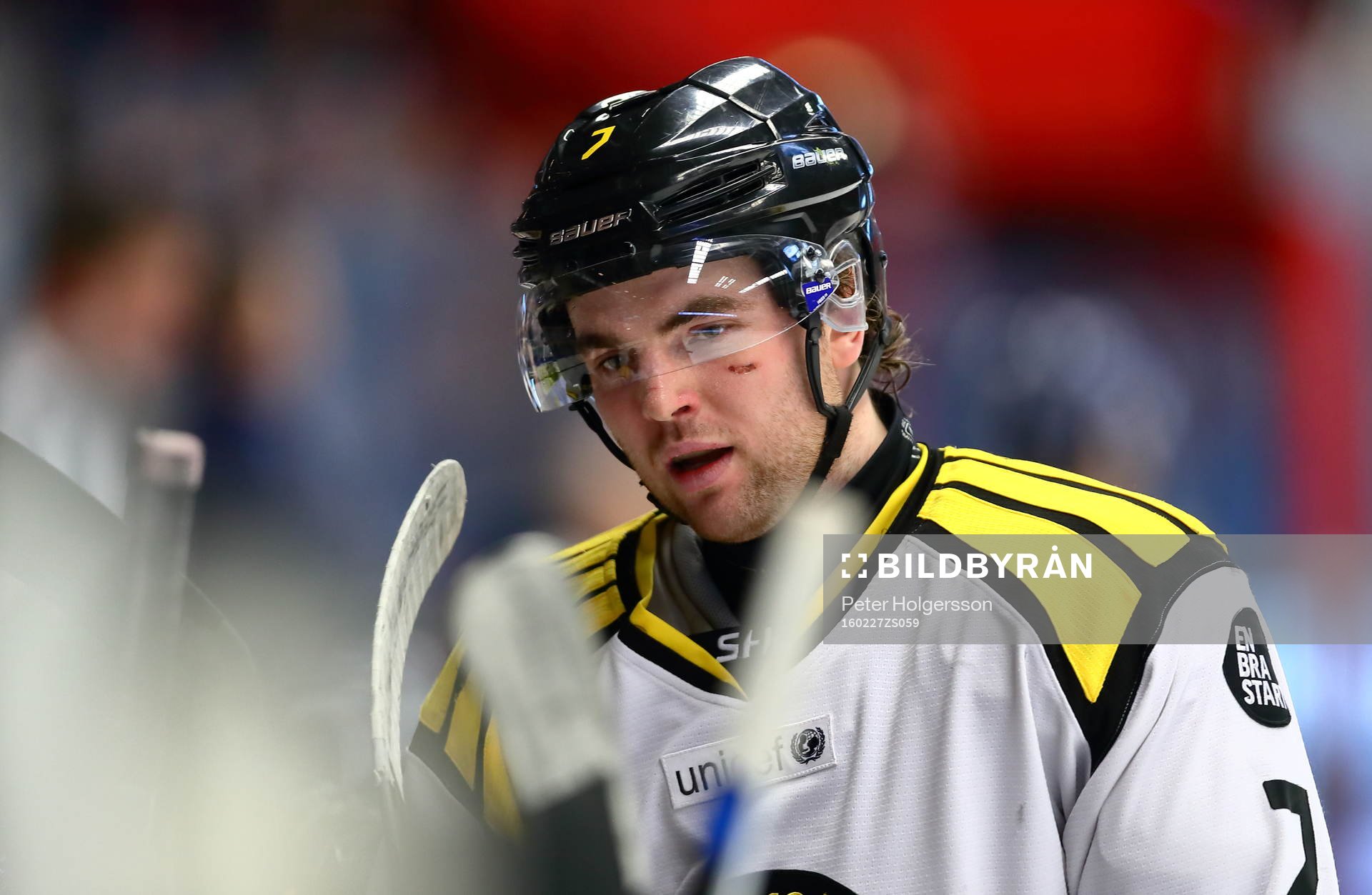 Brynäs Ponthus Westerholm