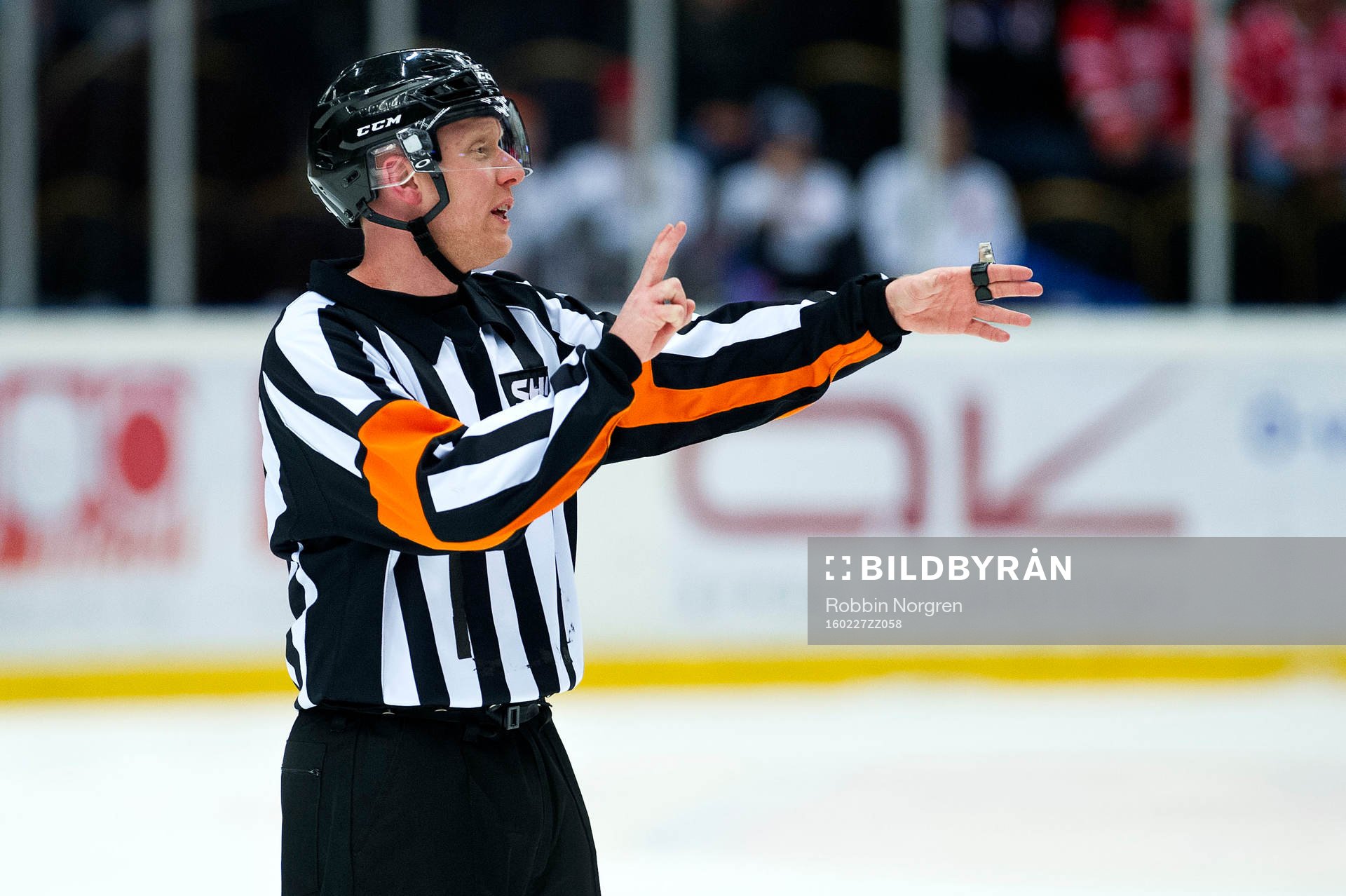 Domaren Mikael Holm