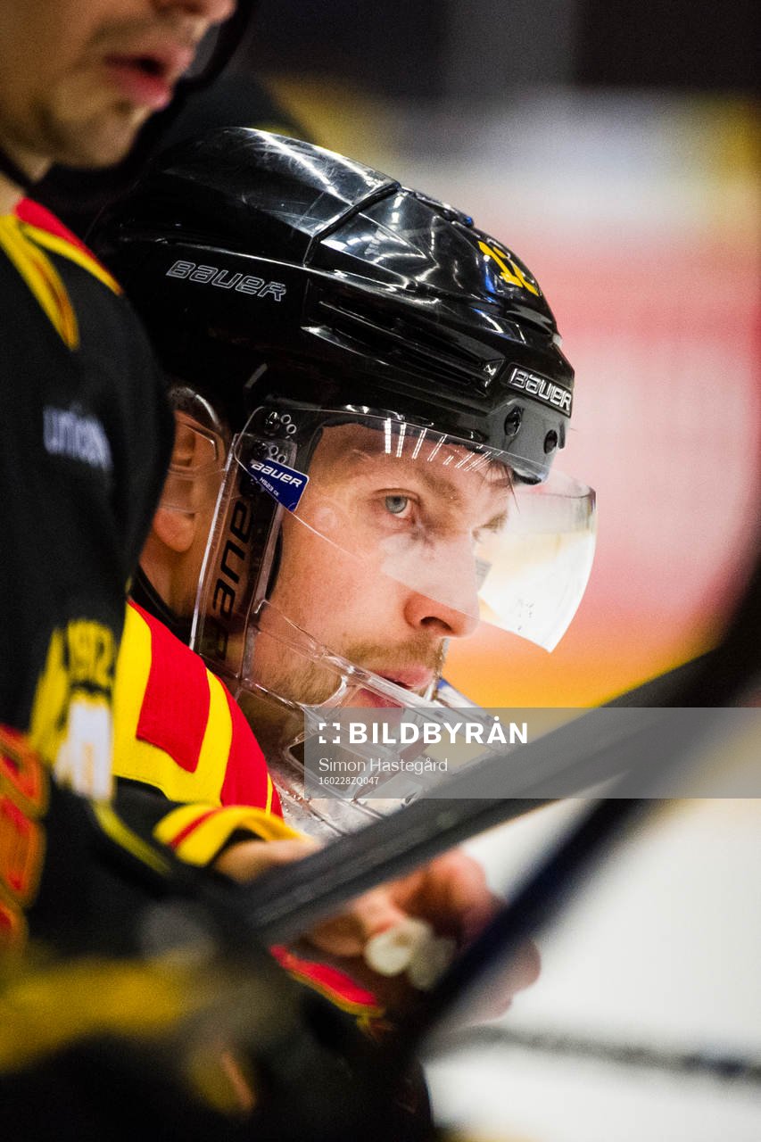 Brynäs Petr Vrana