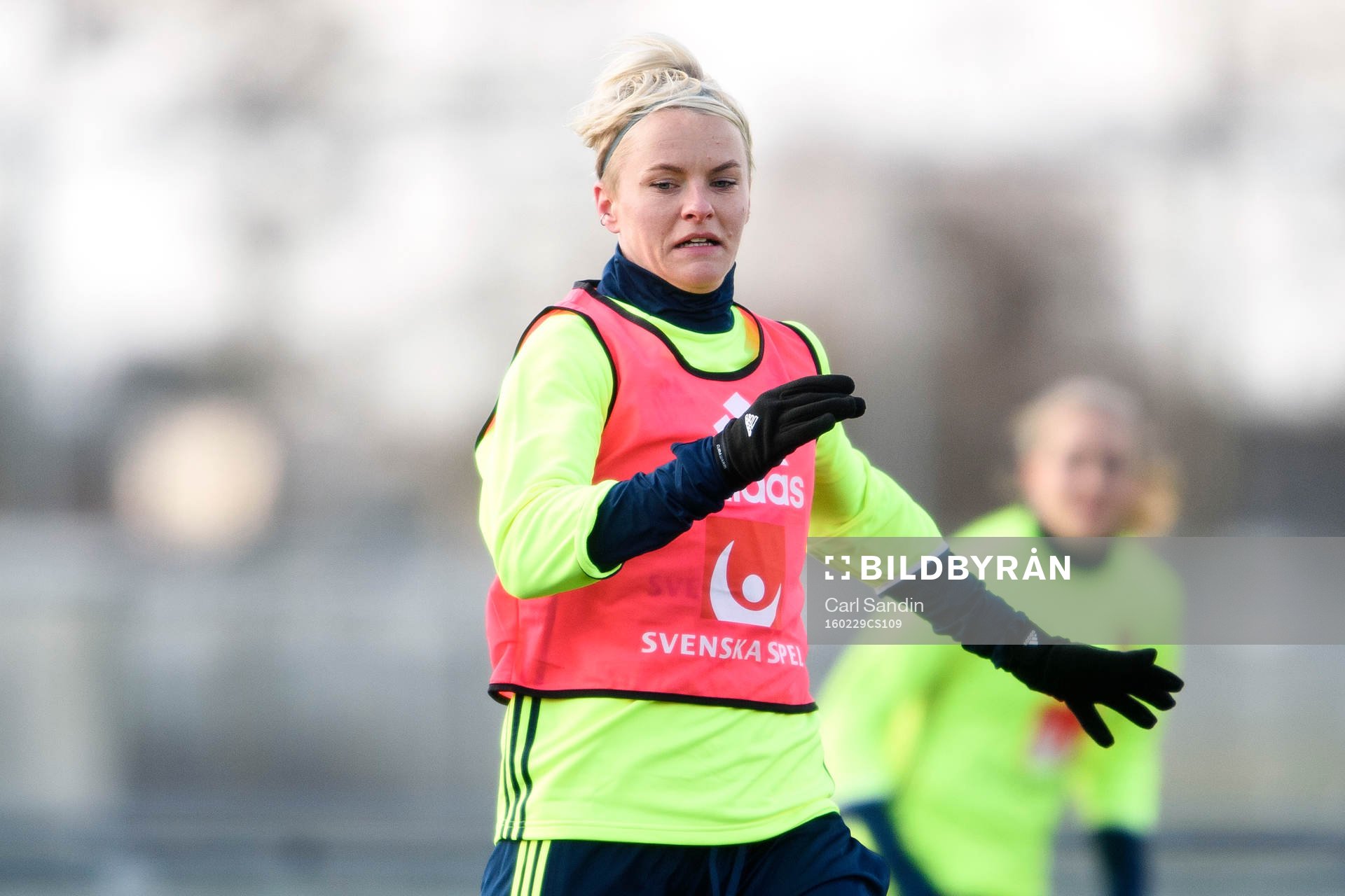 Sveriges Nilla Fischer