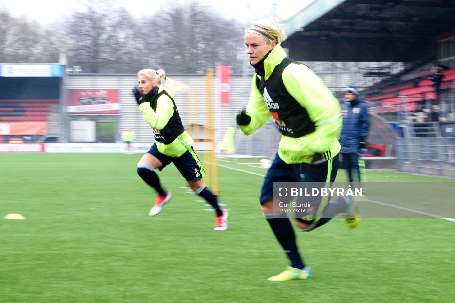Sveriges Nilla Fischer