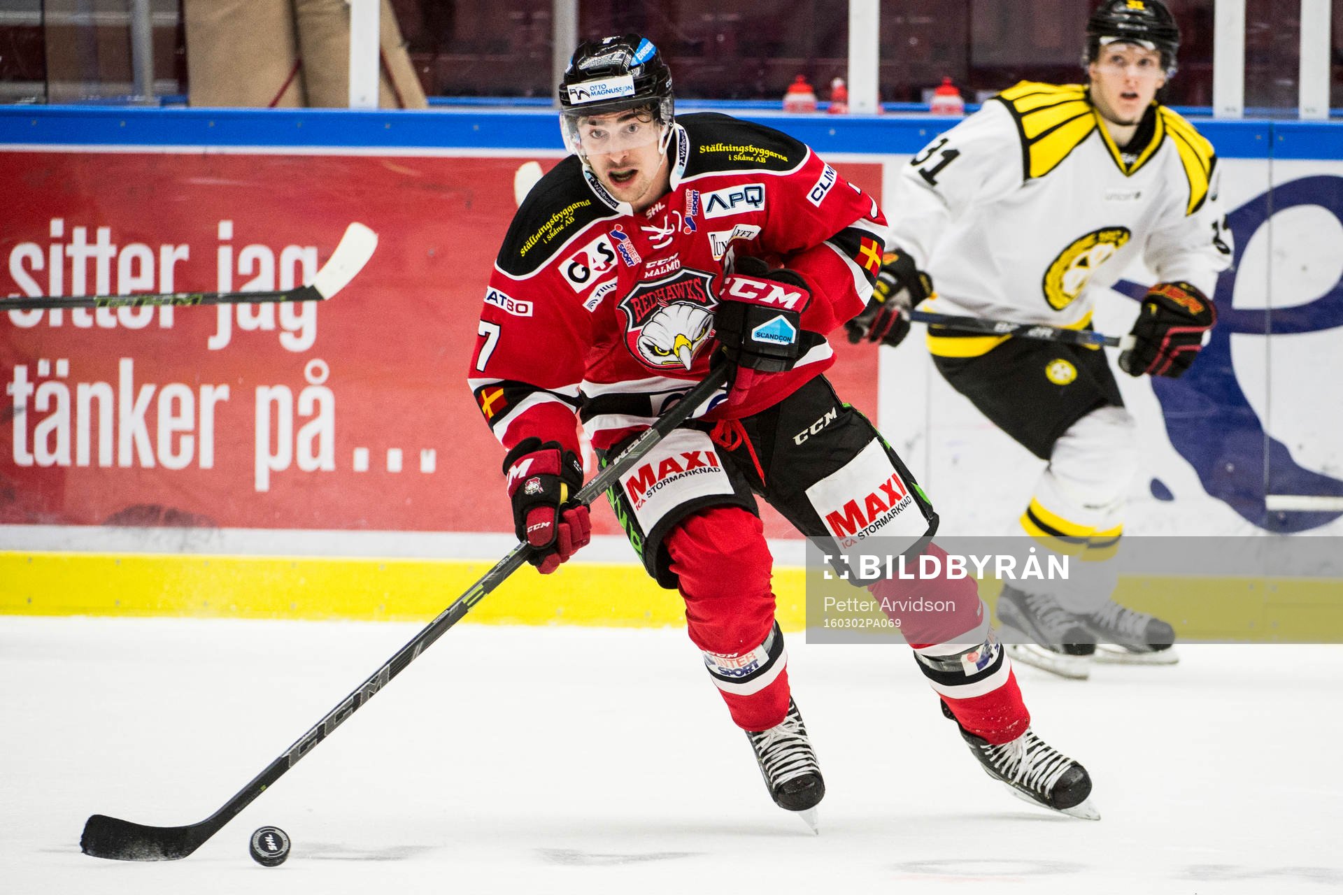 Malmö Redhawks Nils Andersson
