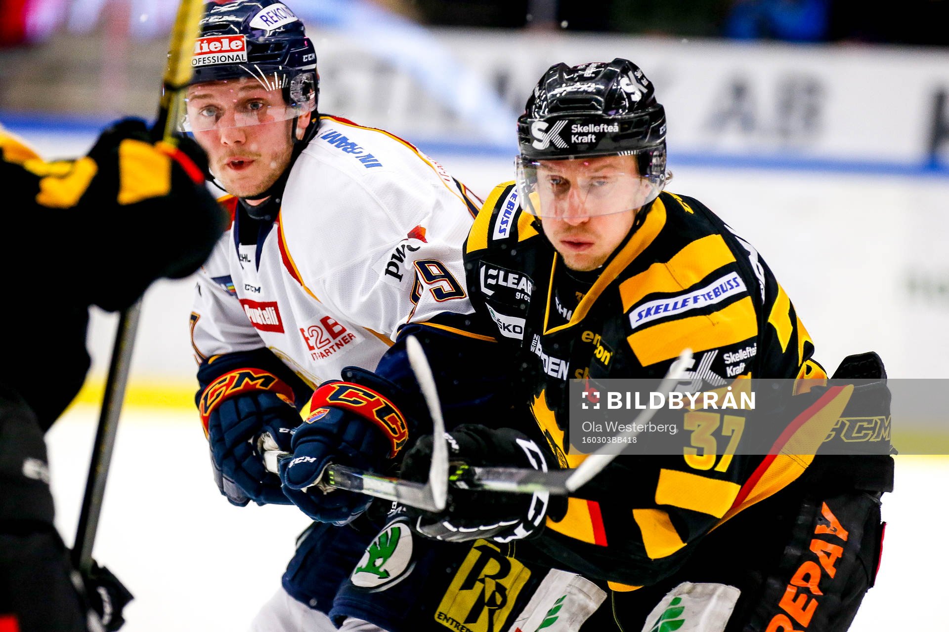 Skellefteås John Norman