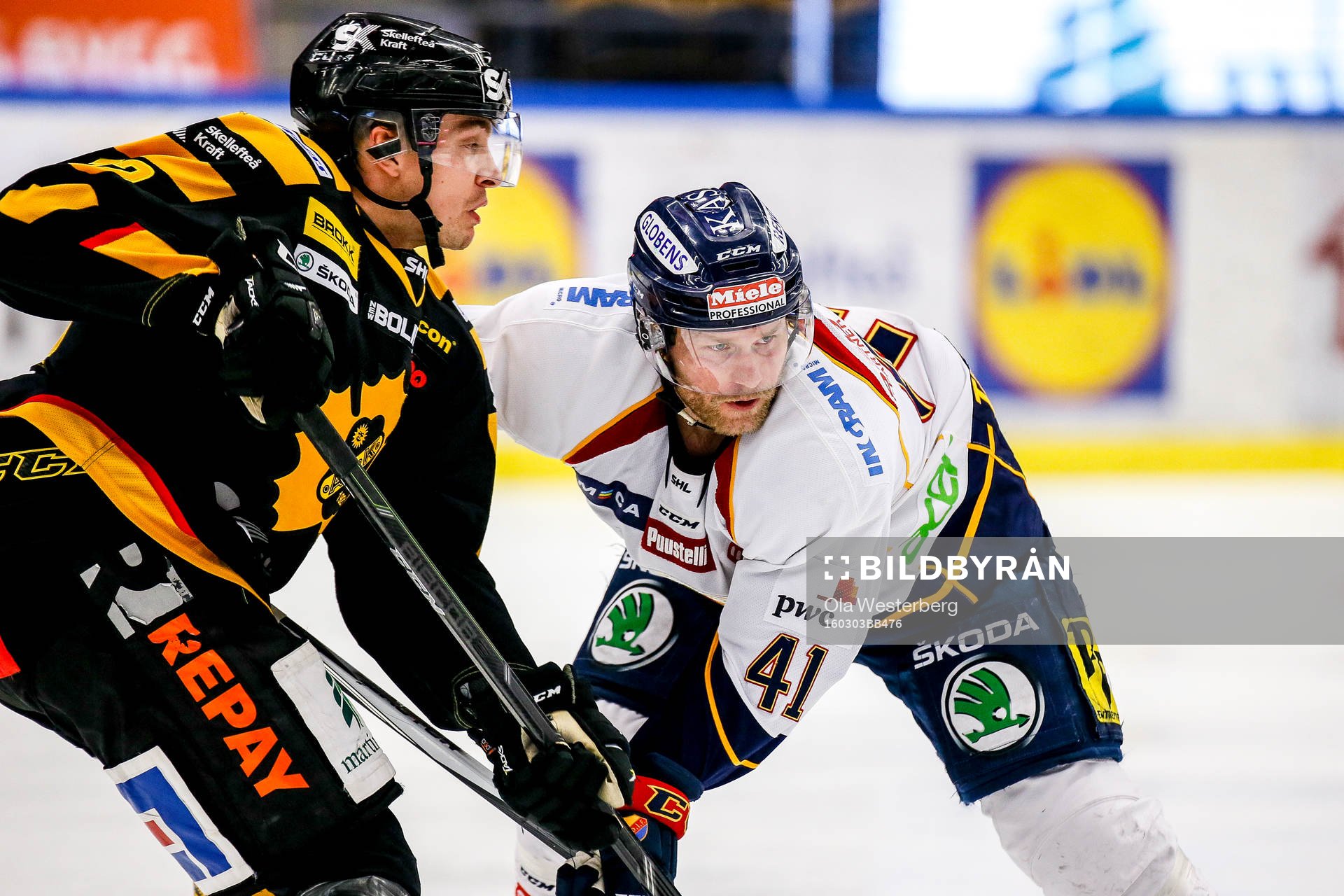 Skellefteås Adam Pettersson