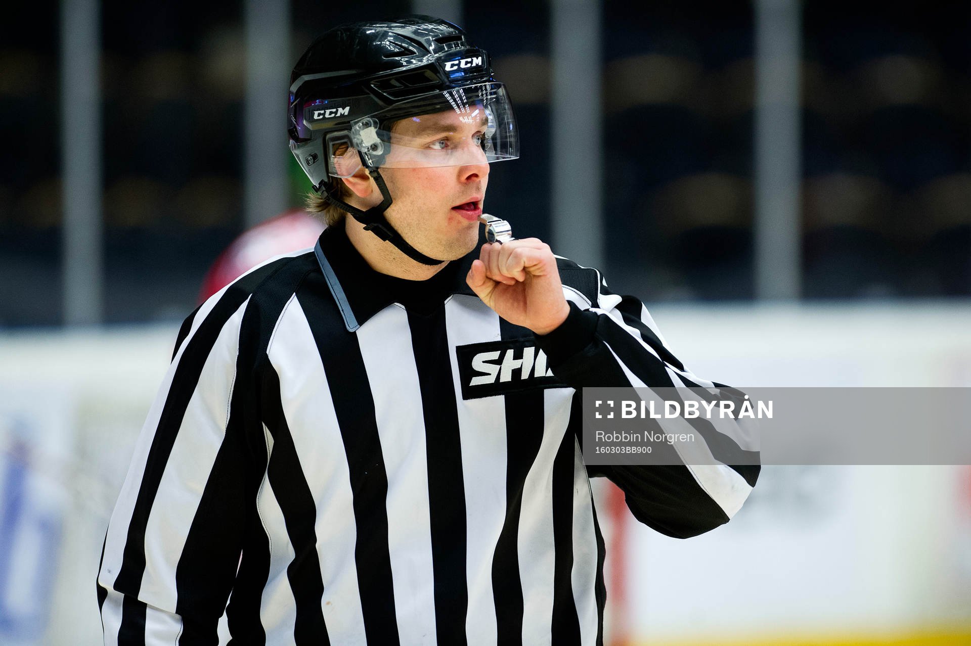 Domaren Daniel Persson