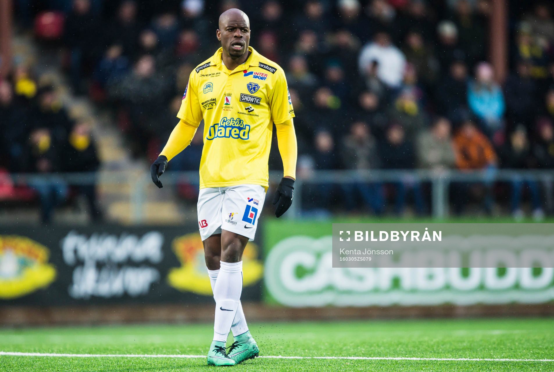 Falkenbergs Hakeem Araba