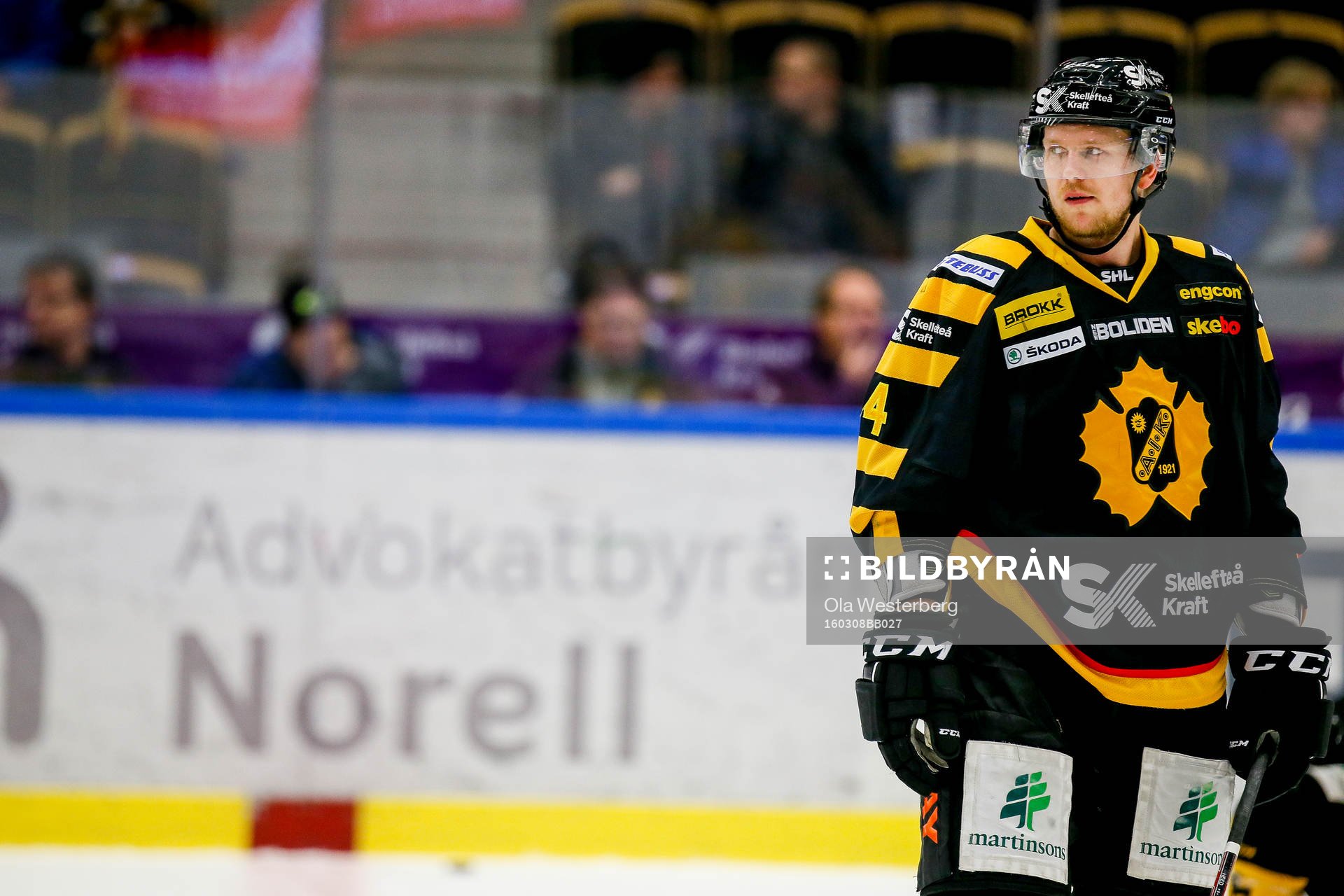 Skellefteås Tim Heed
