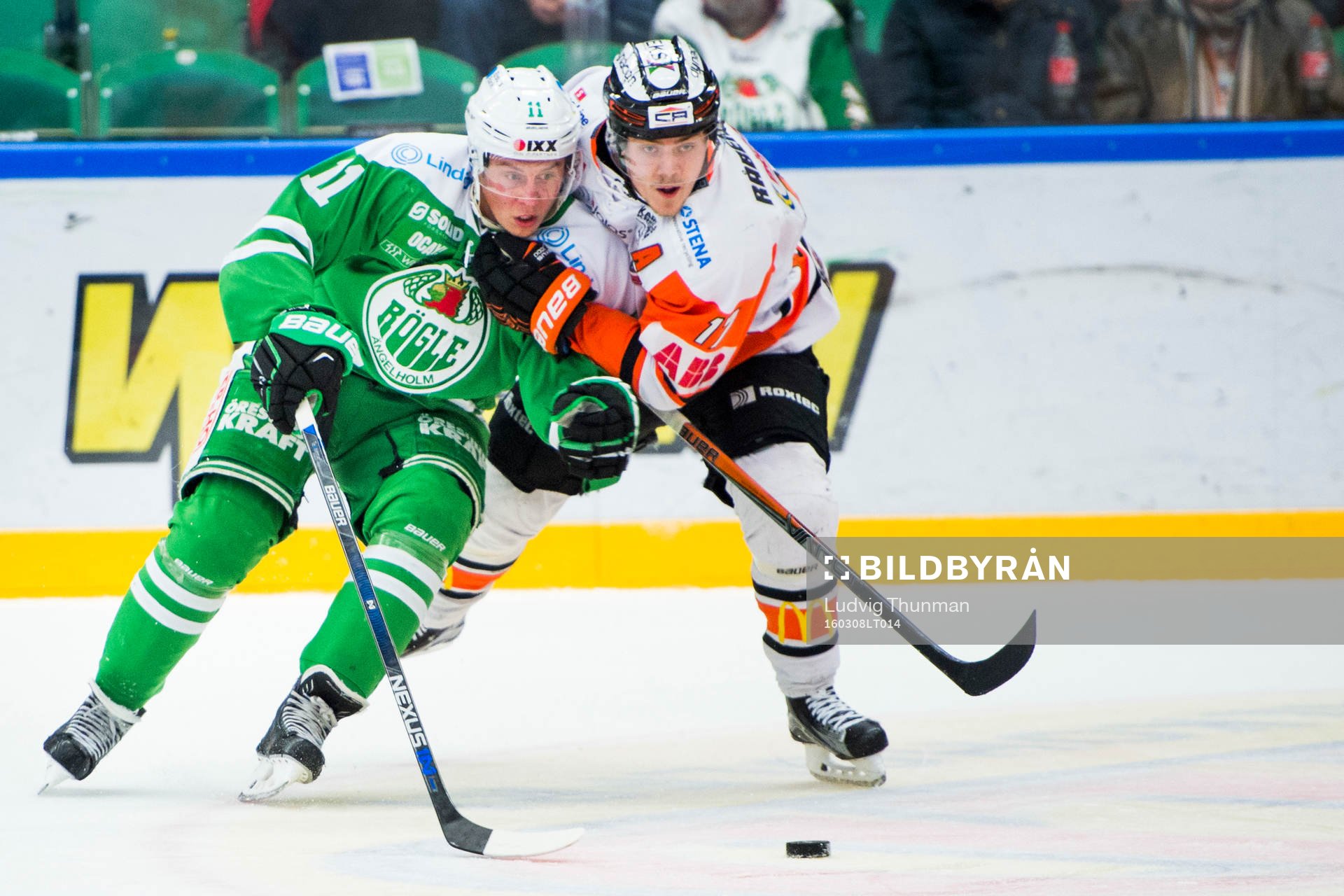 Rögles David Åslin