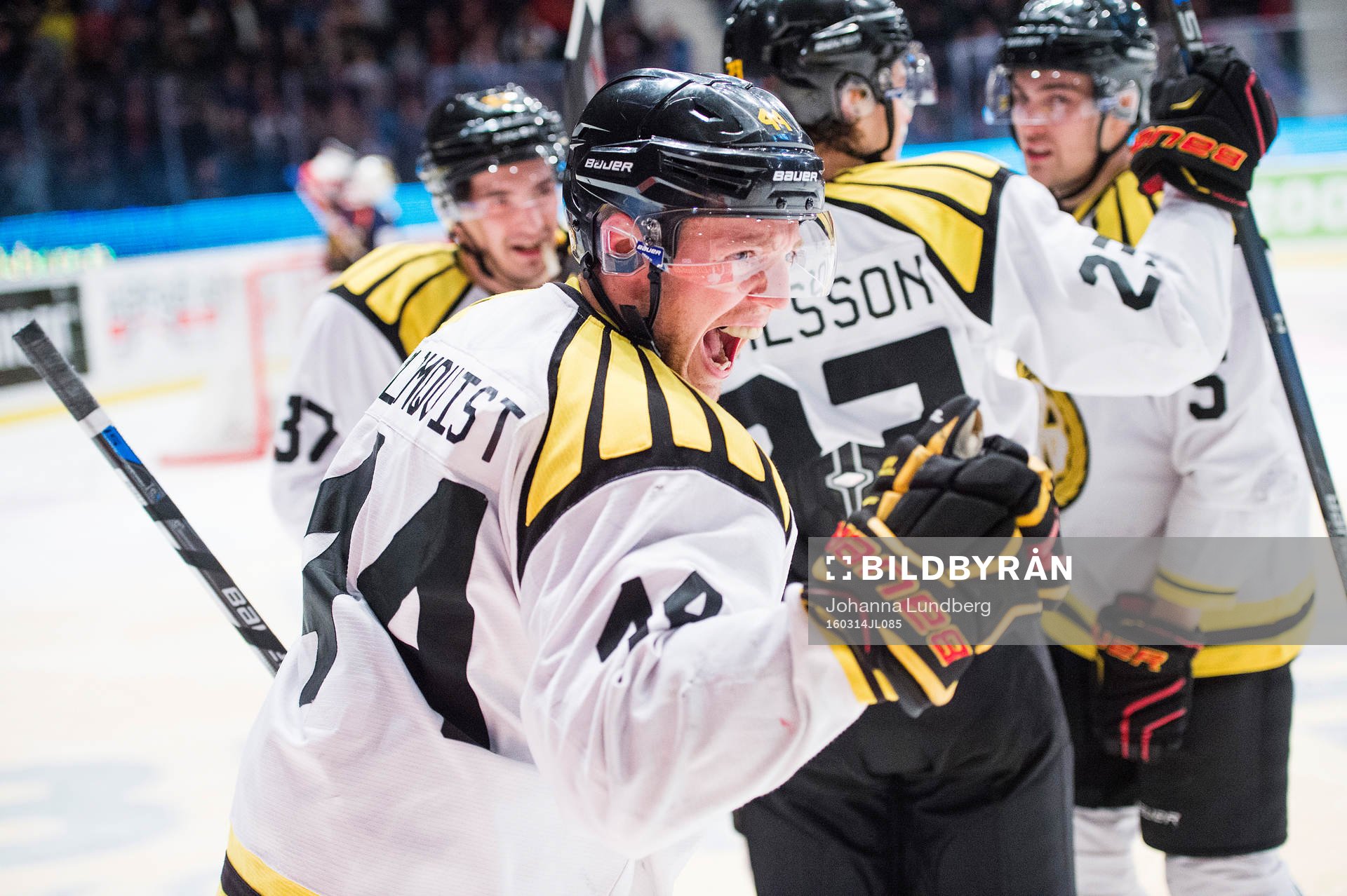 Brynäs Jacob Blomqvist jublar