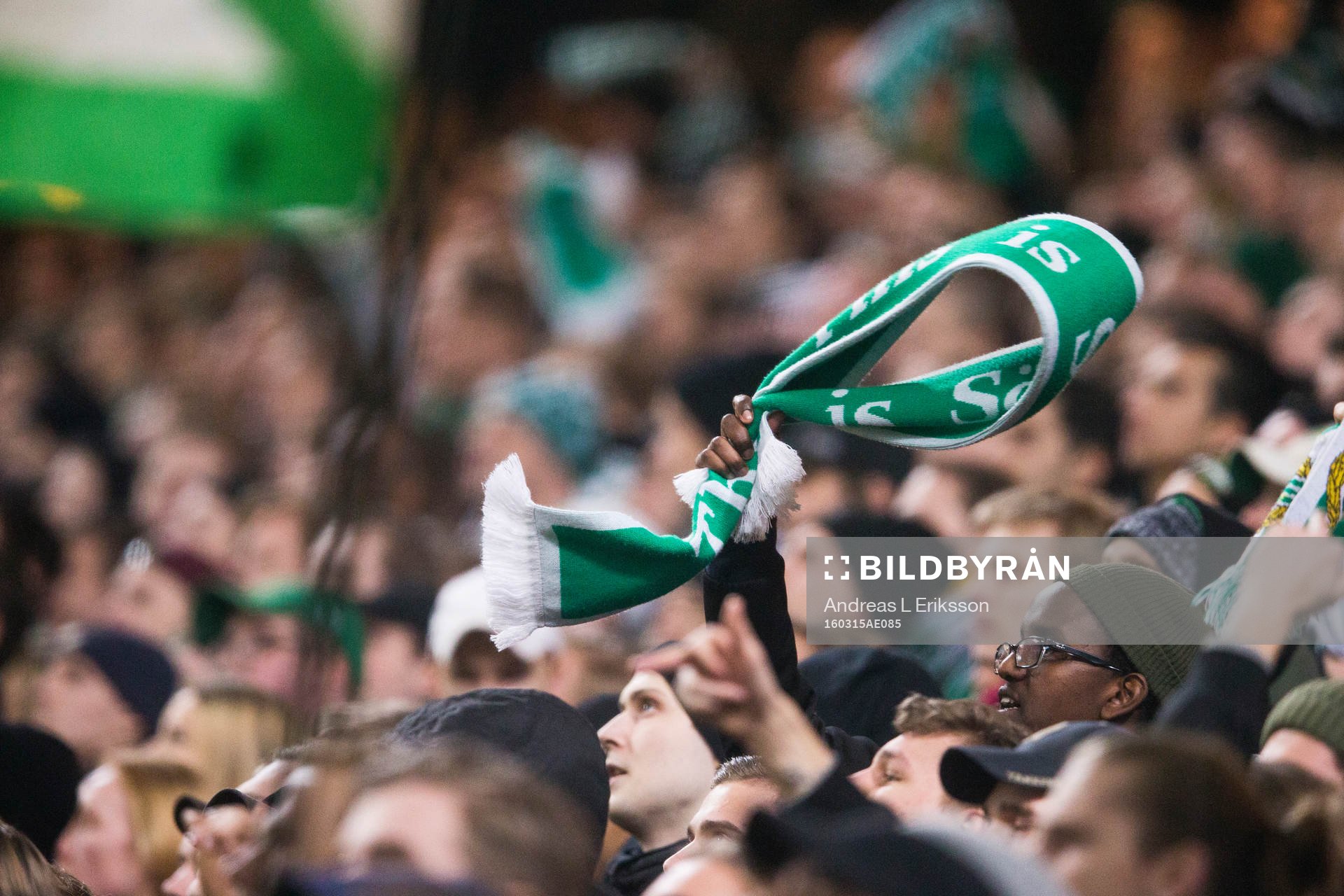 En Hammarbyhalsduk