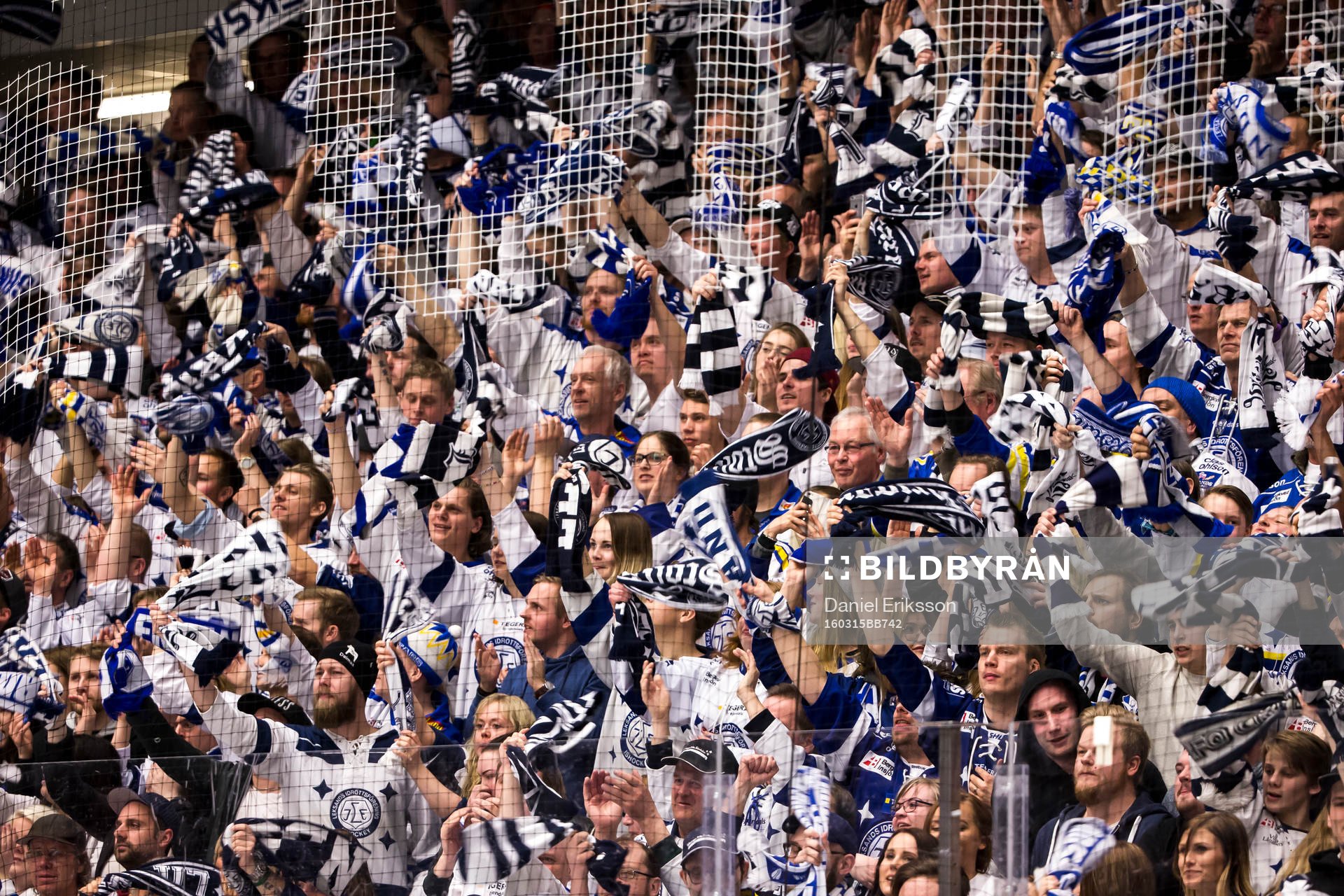 Leksands publiken jublar i ishockeymatchen i Play Off till