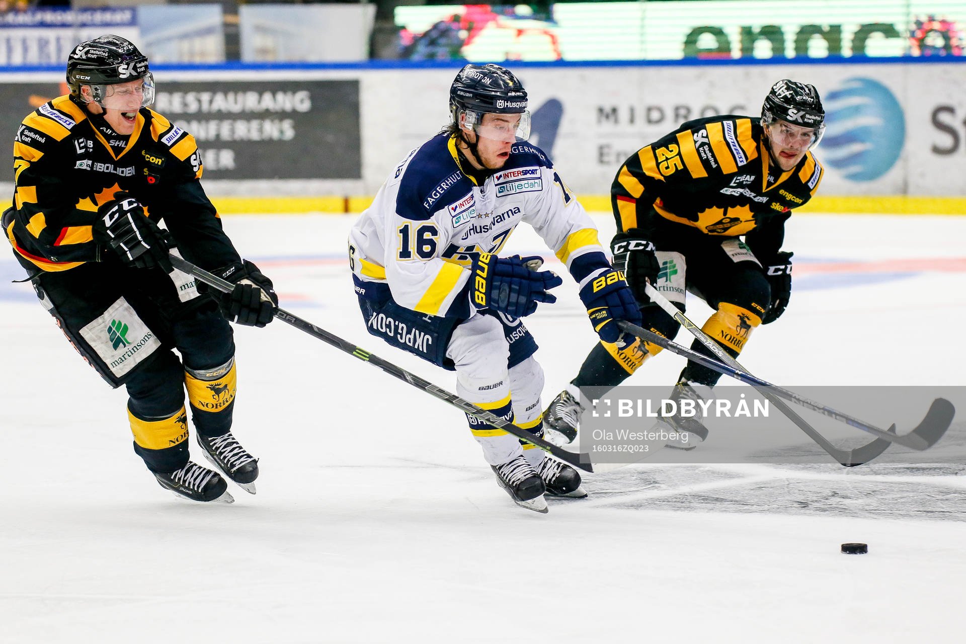 Skellefteås John Norman och Axel Holmström