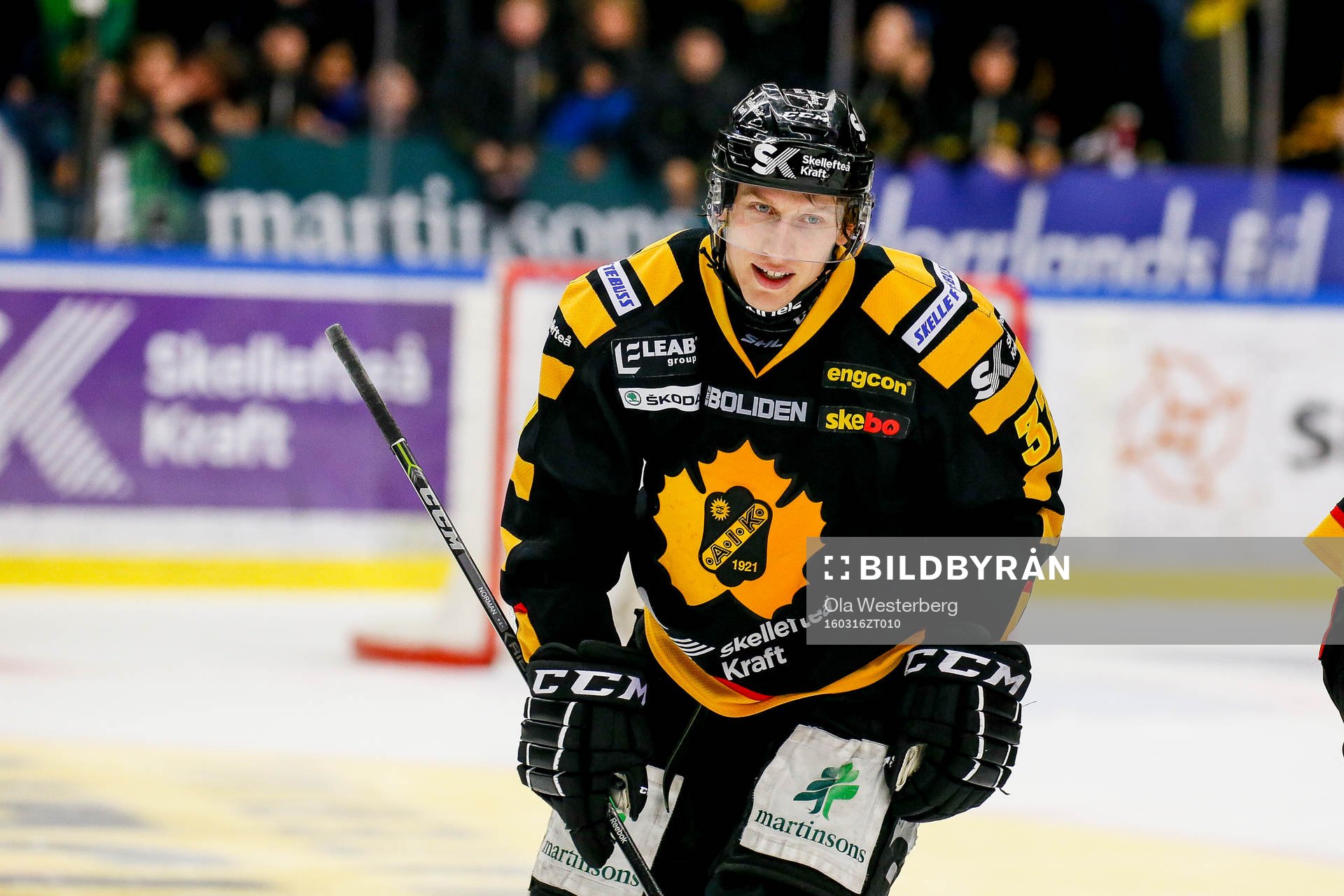 Skellefteås John Norman jublar