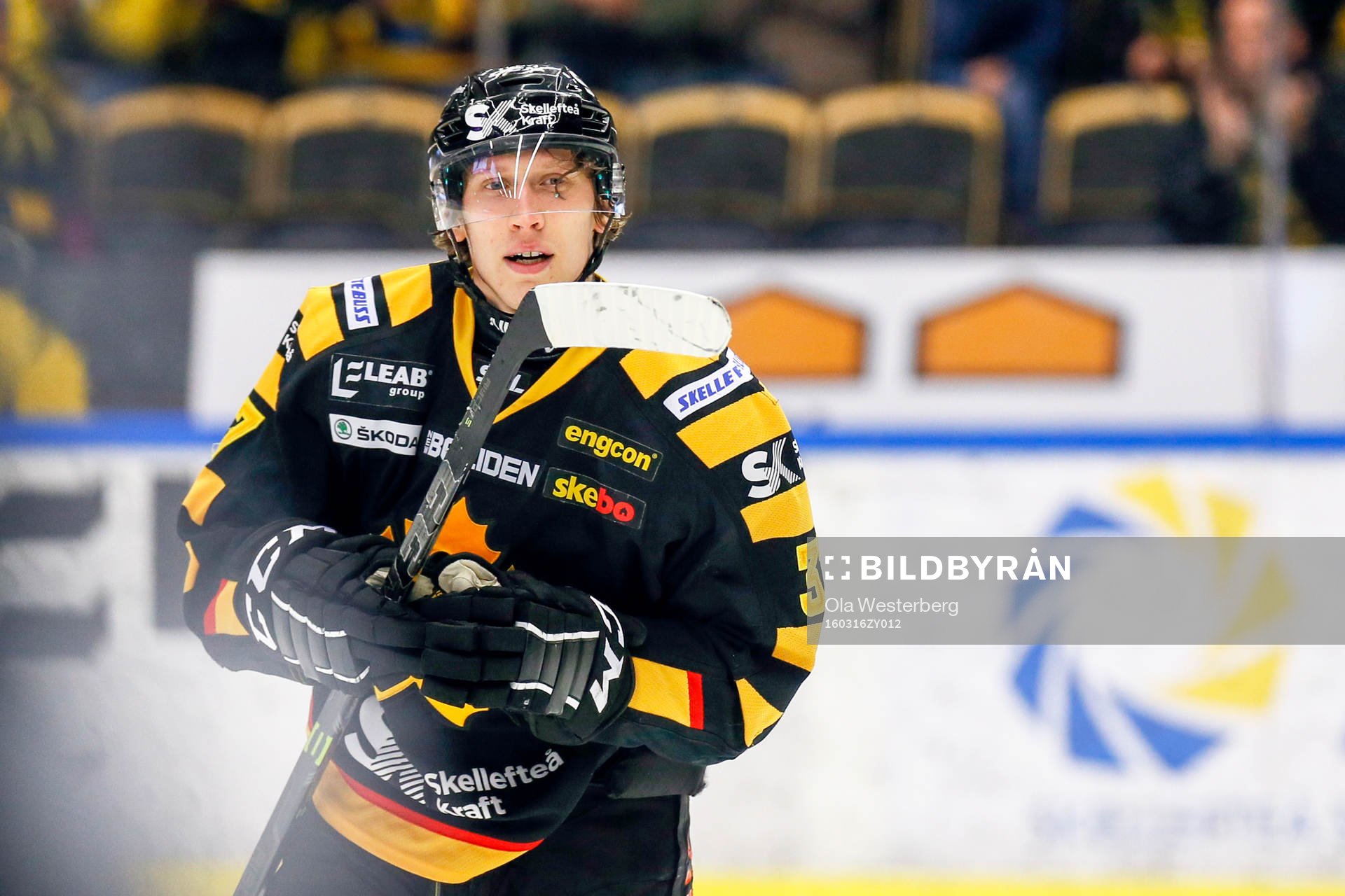 Skellefteås John Norman jublar