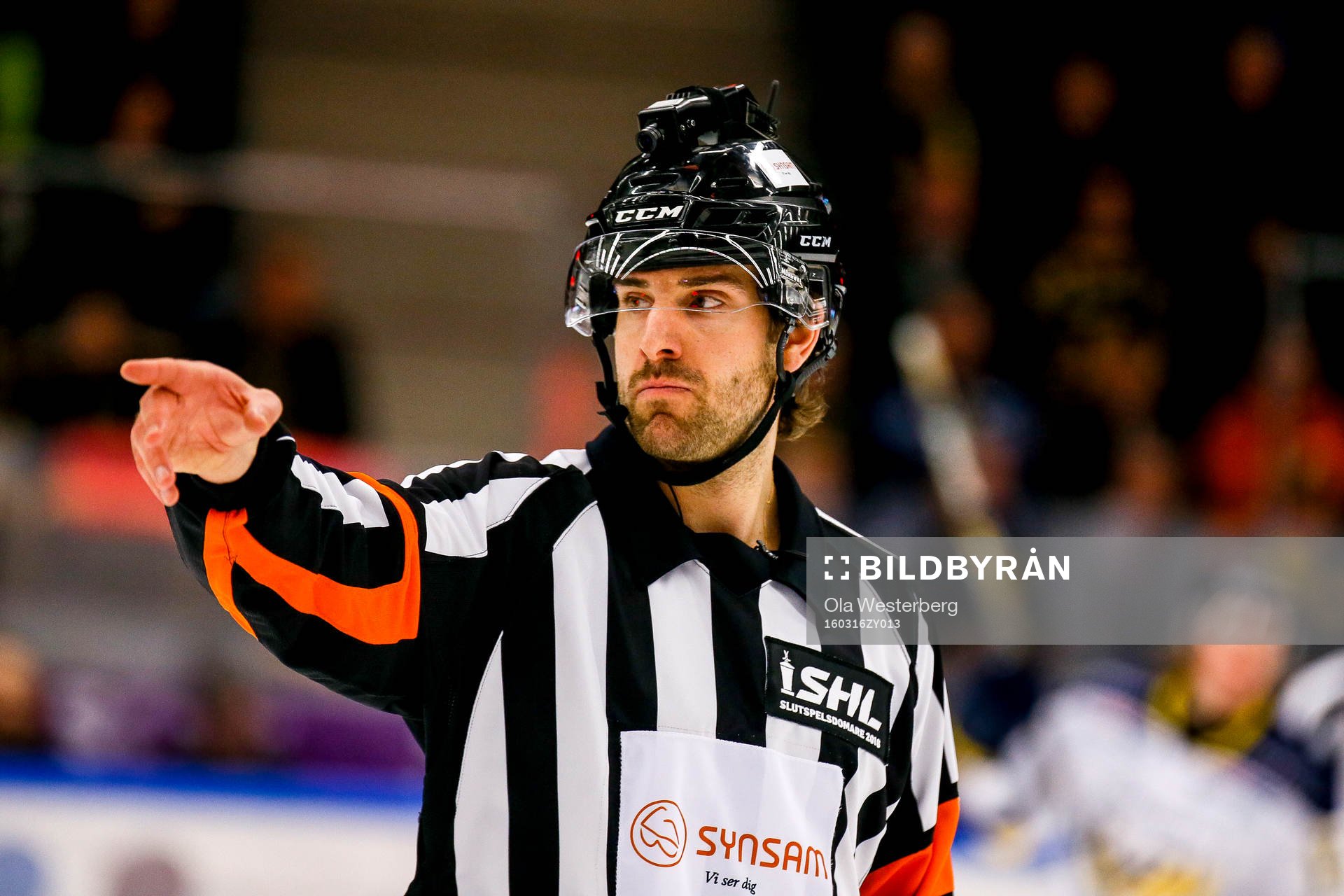 Domaren Mikael Sjöqvist