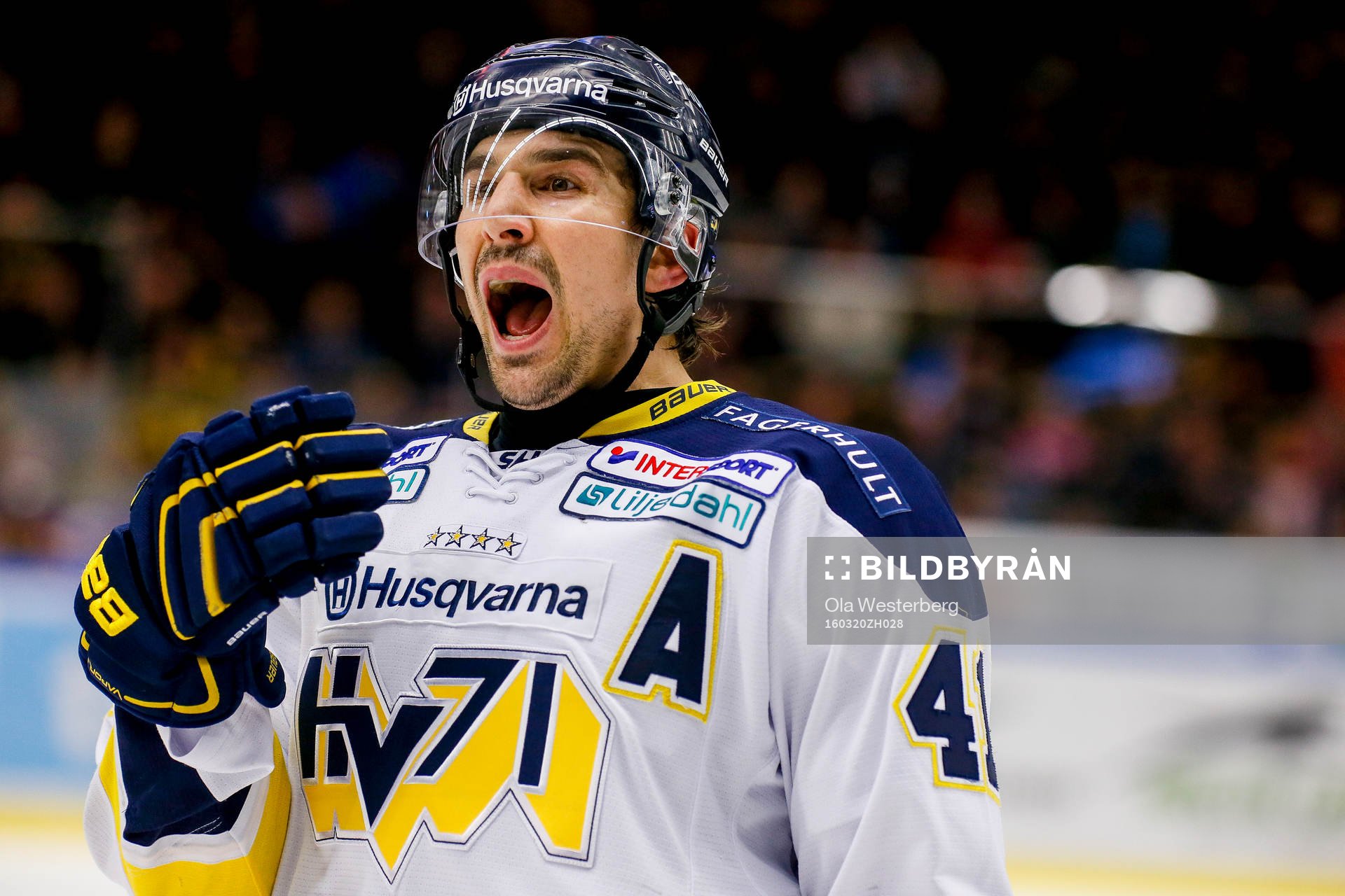 s  Chris Campoli
