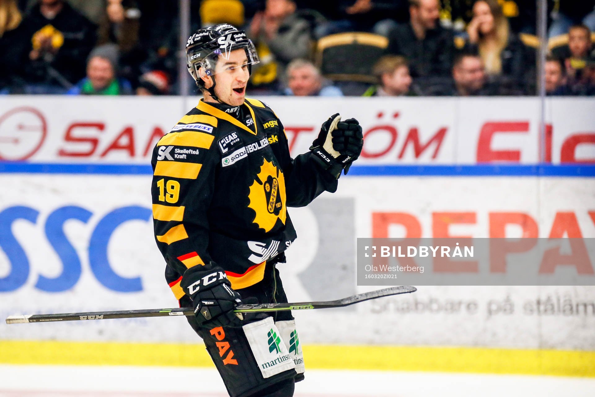 Skellefteås Andrew Calof jublar