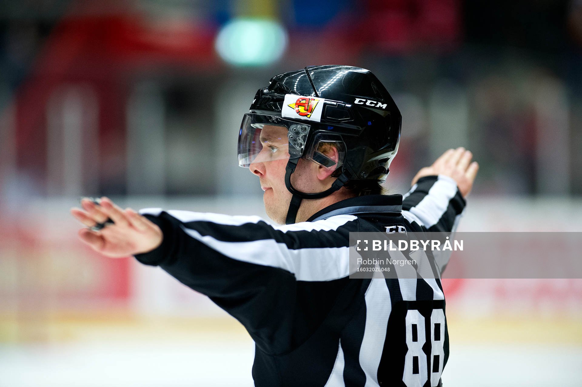 Domaren Daniel Persson