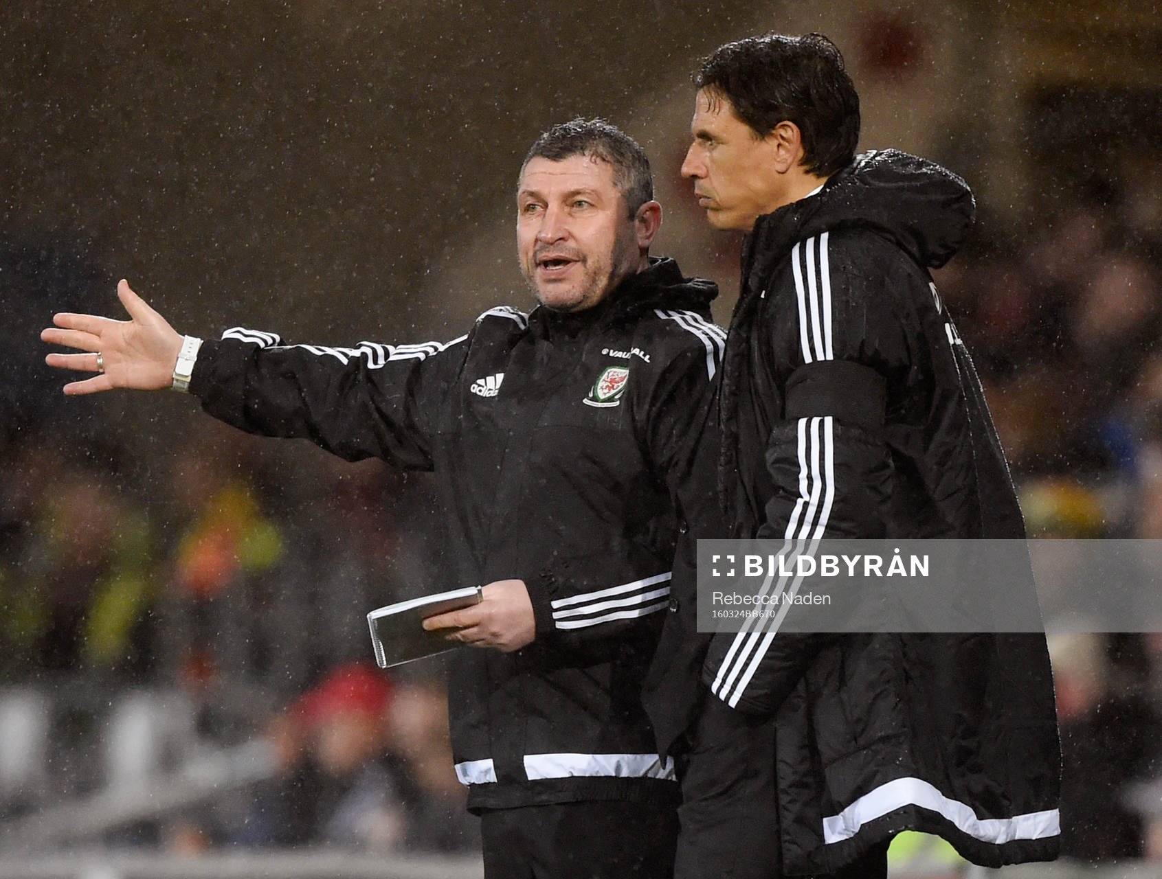 Football Soccer - Wales v Northern Ireland - International