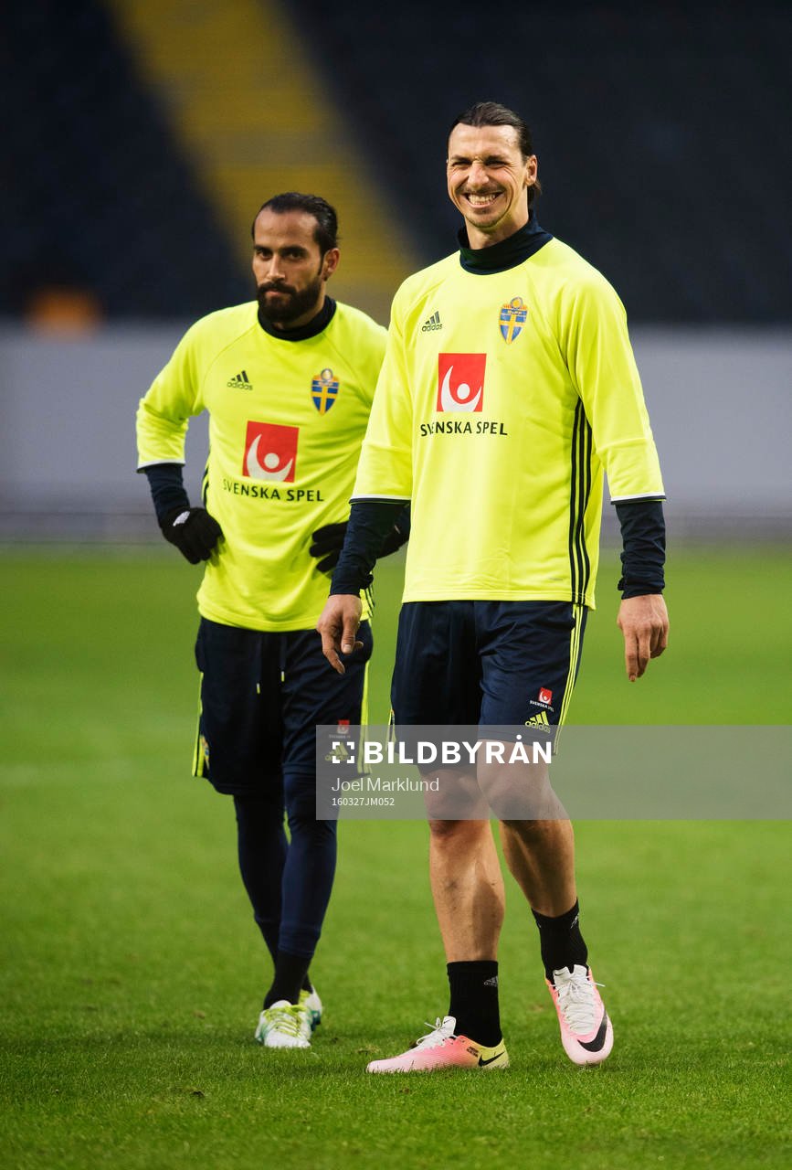 Erkan Zengin och Zlatan Ibrahimovic