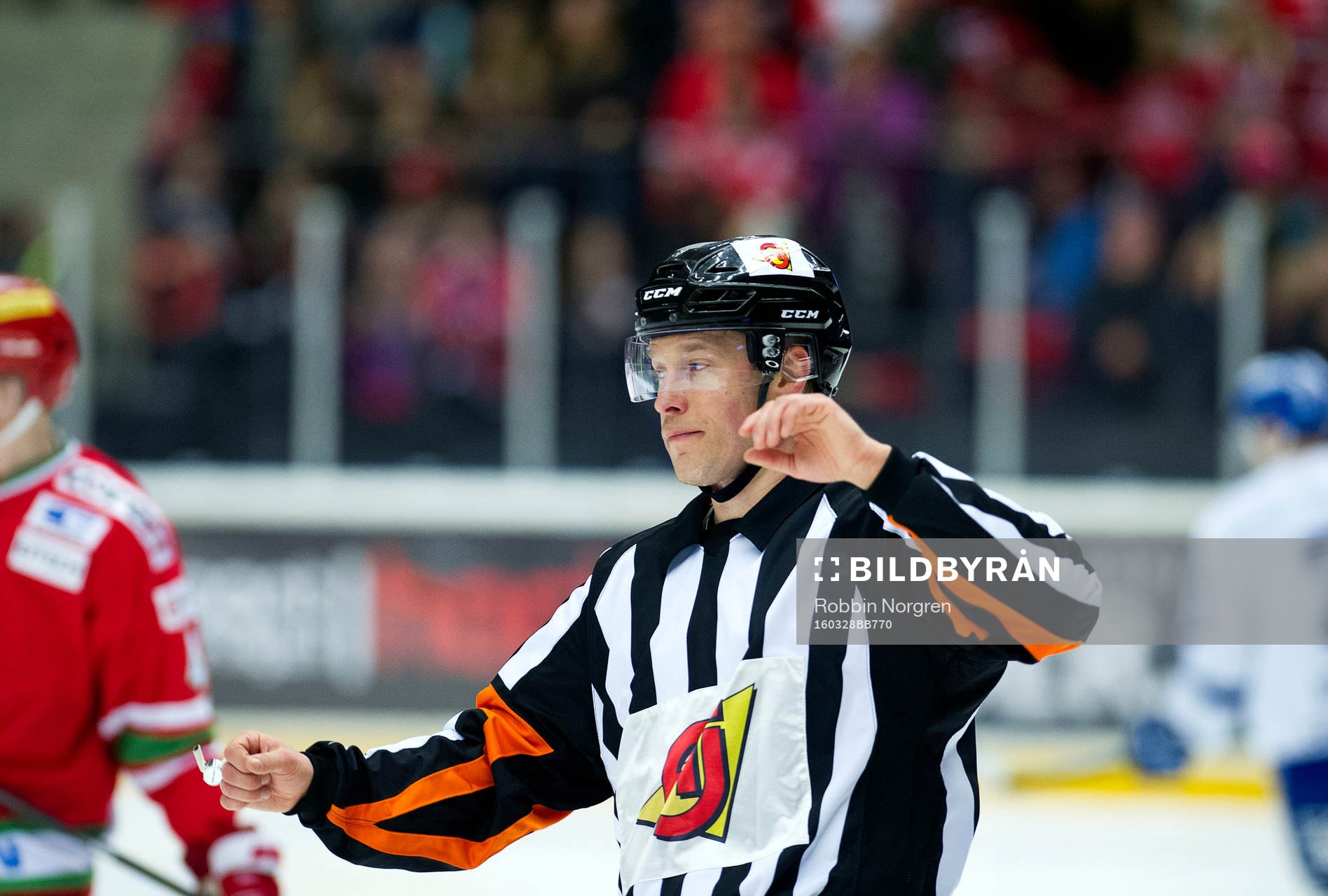 Domaren Tobias Björk