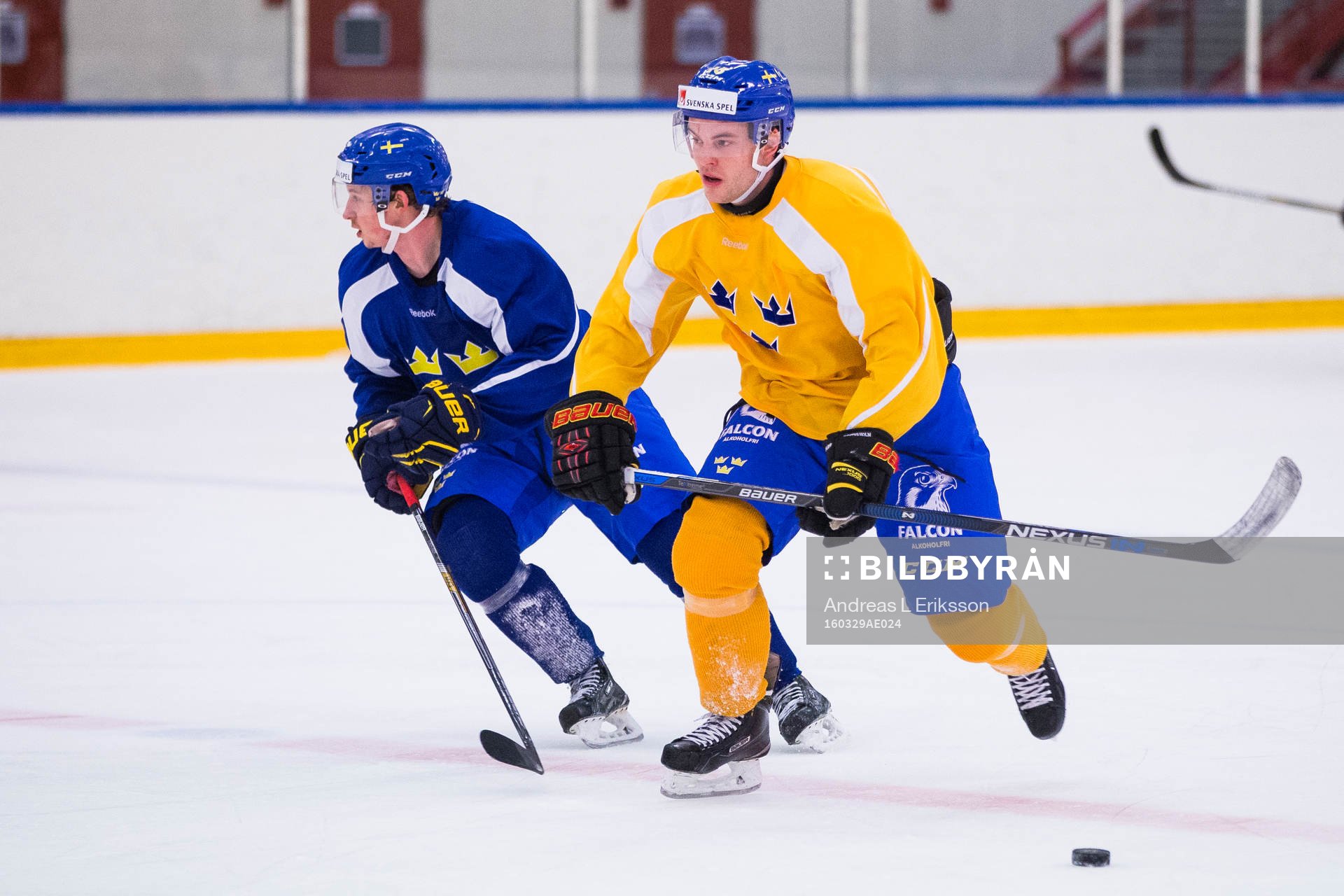 Pathrik Westerholm