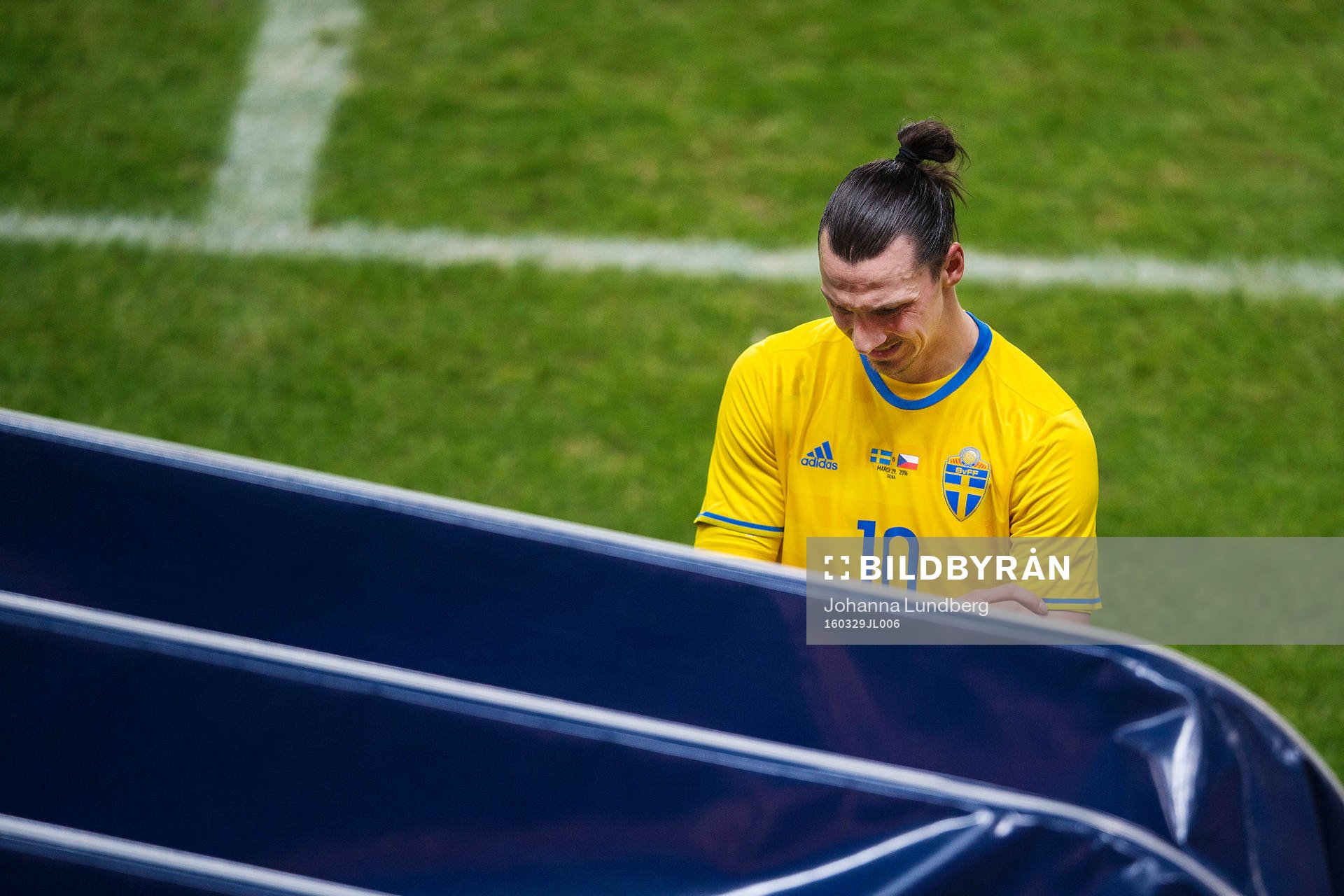 Sveriges Zlatan Ibrahimovic grimaserar när han går av