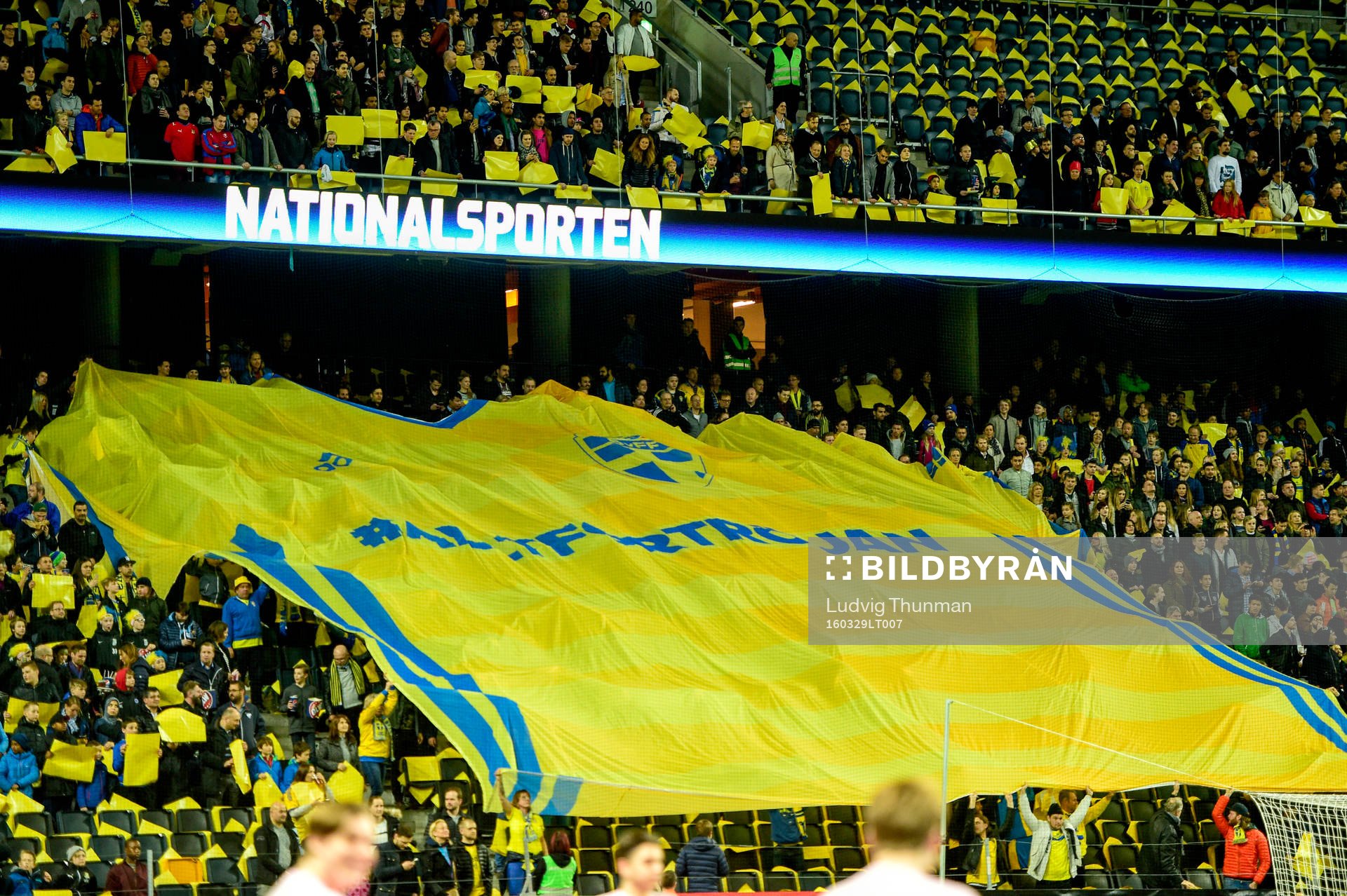 Svenskt tifo