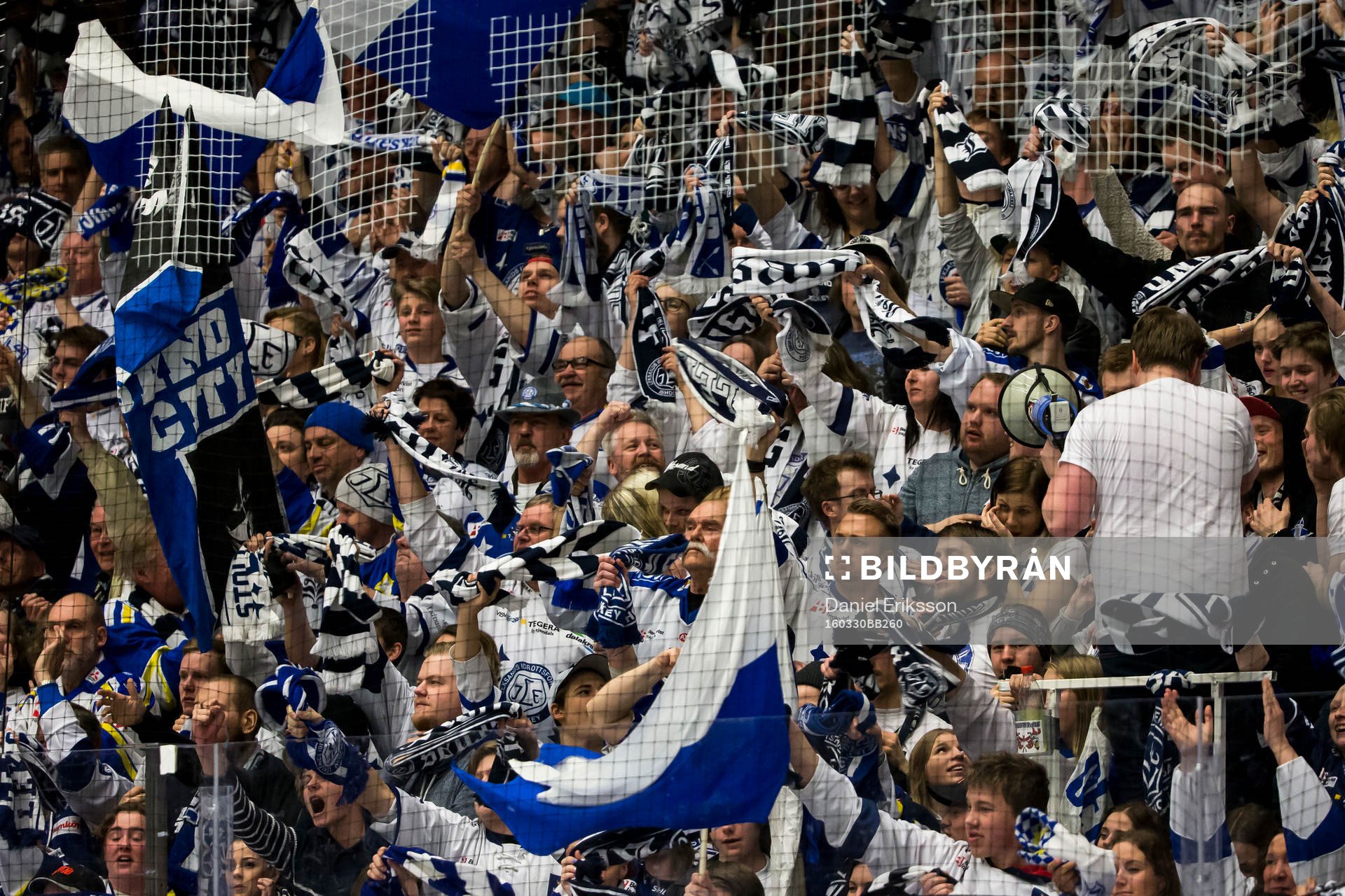 Leksands fansen jublar i ishockeymatchen i kvalet  till SHL