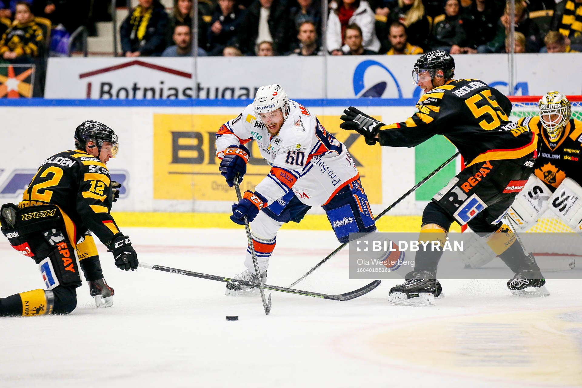 Skellefteås Alexander Urbom och Adam Pettersson