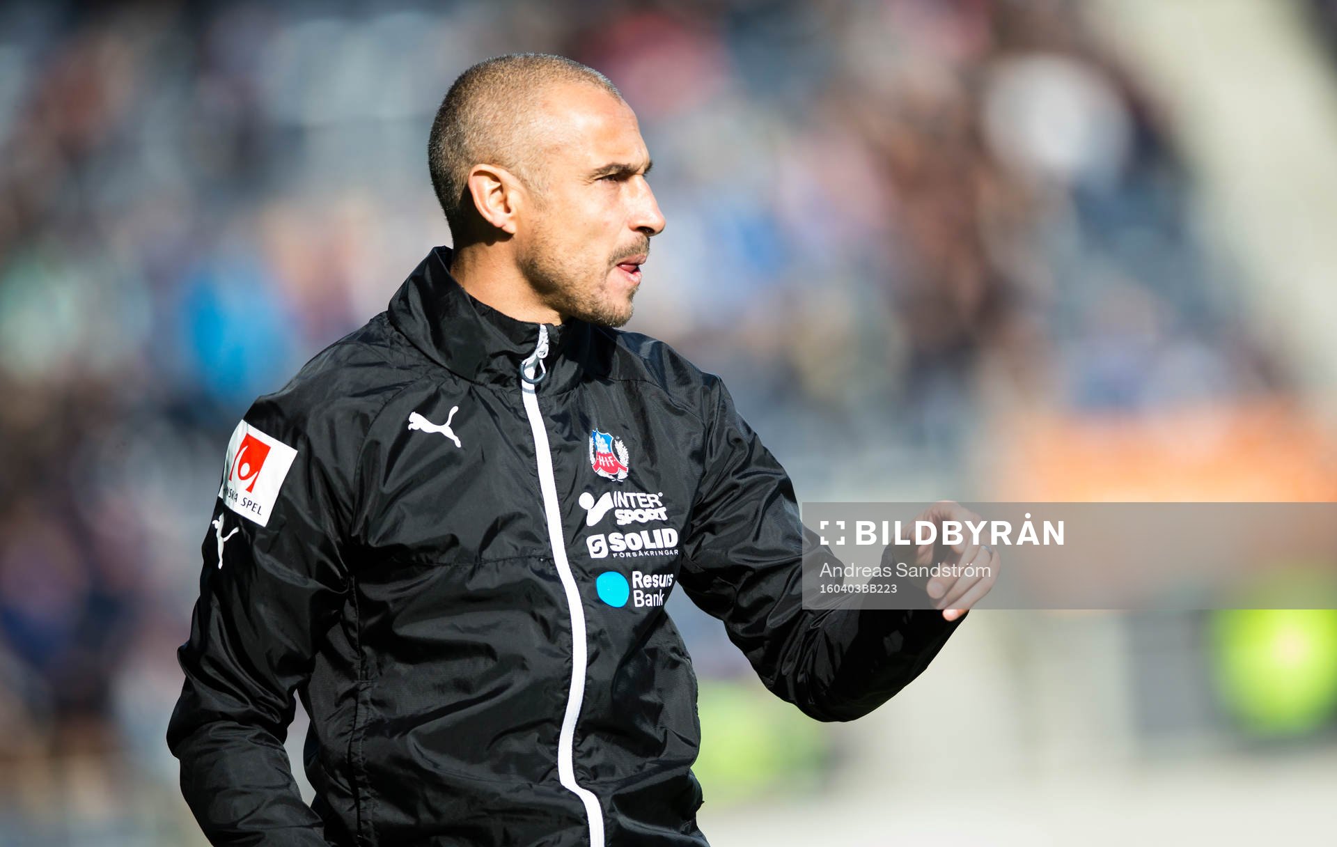 Helsingborgs manager Henrik Larsson