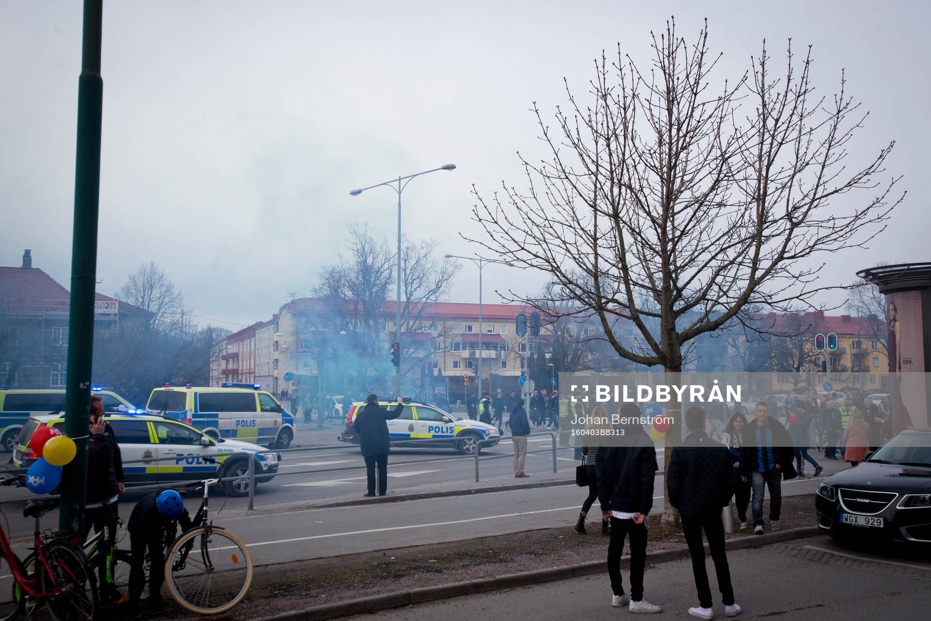 Djurgården supportrar