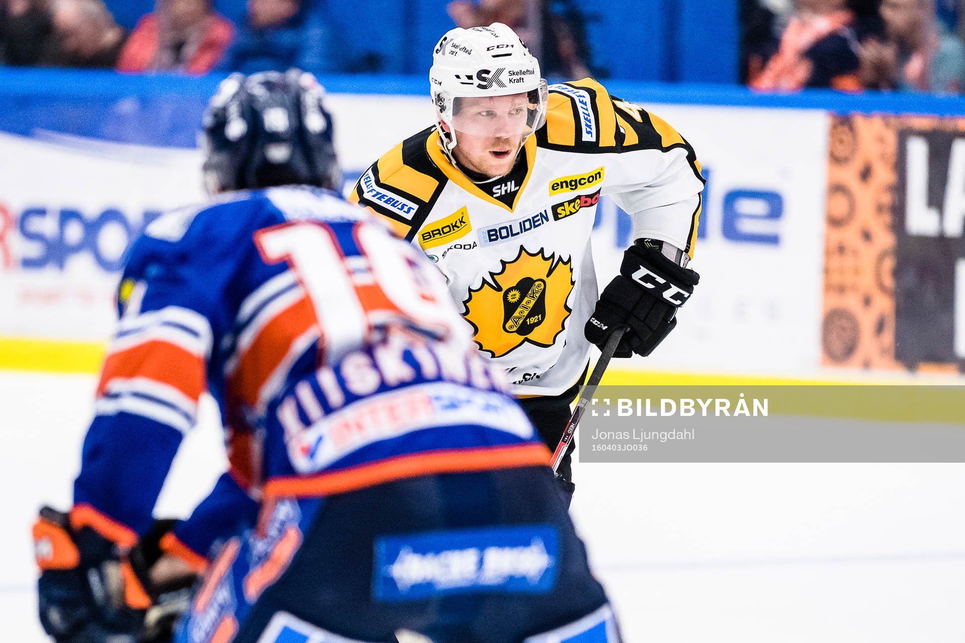 Skellefteås Tim Heed