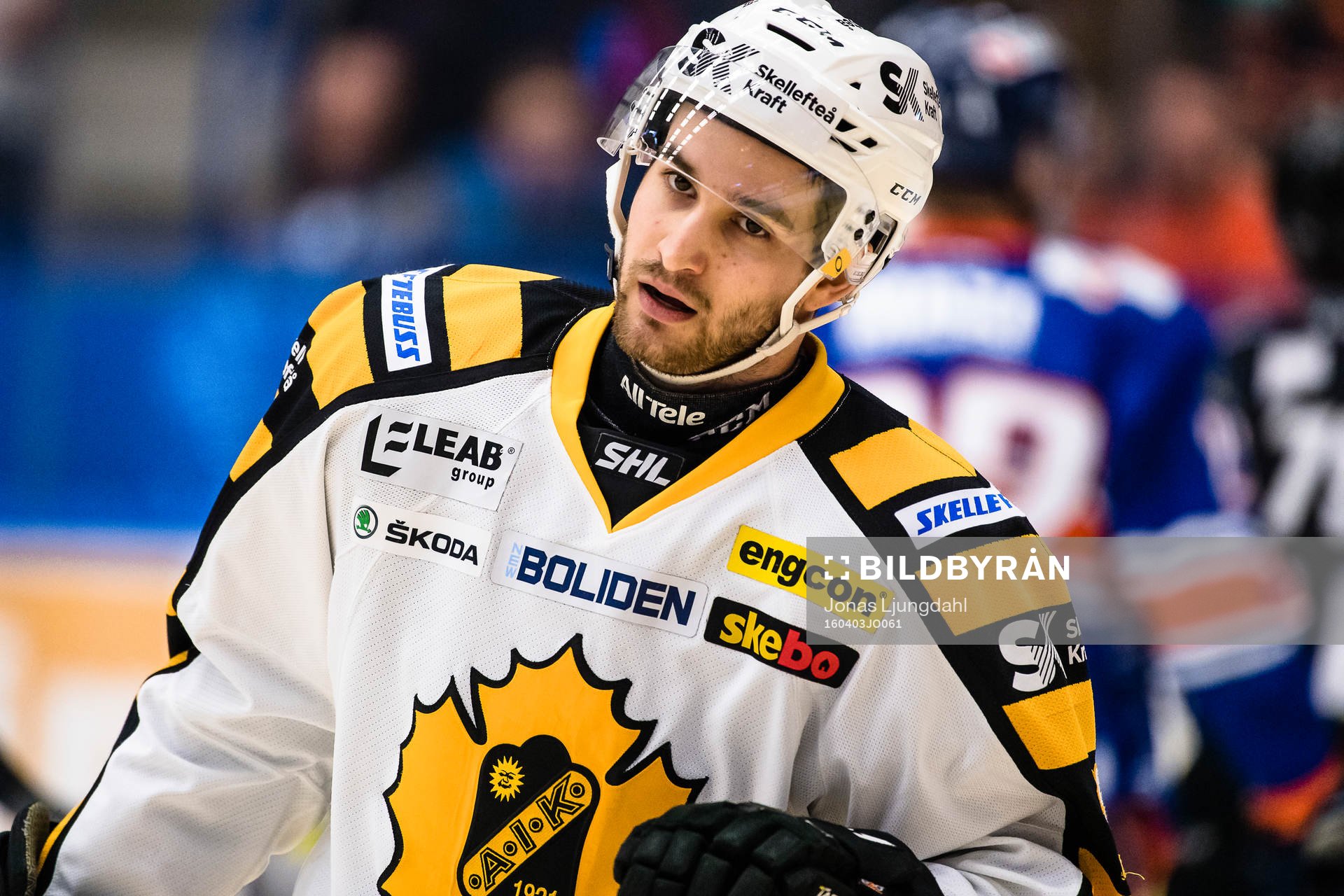Skellefteås Andrew Calof hänger med huvudet