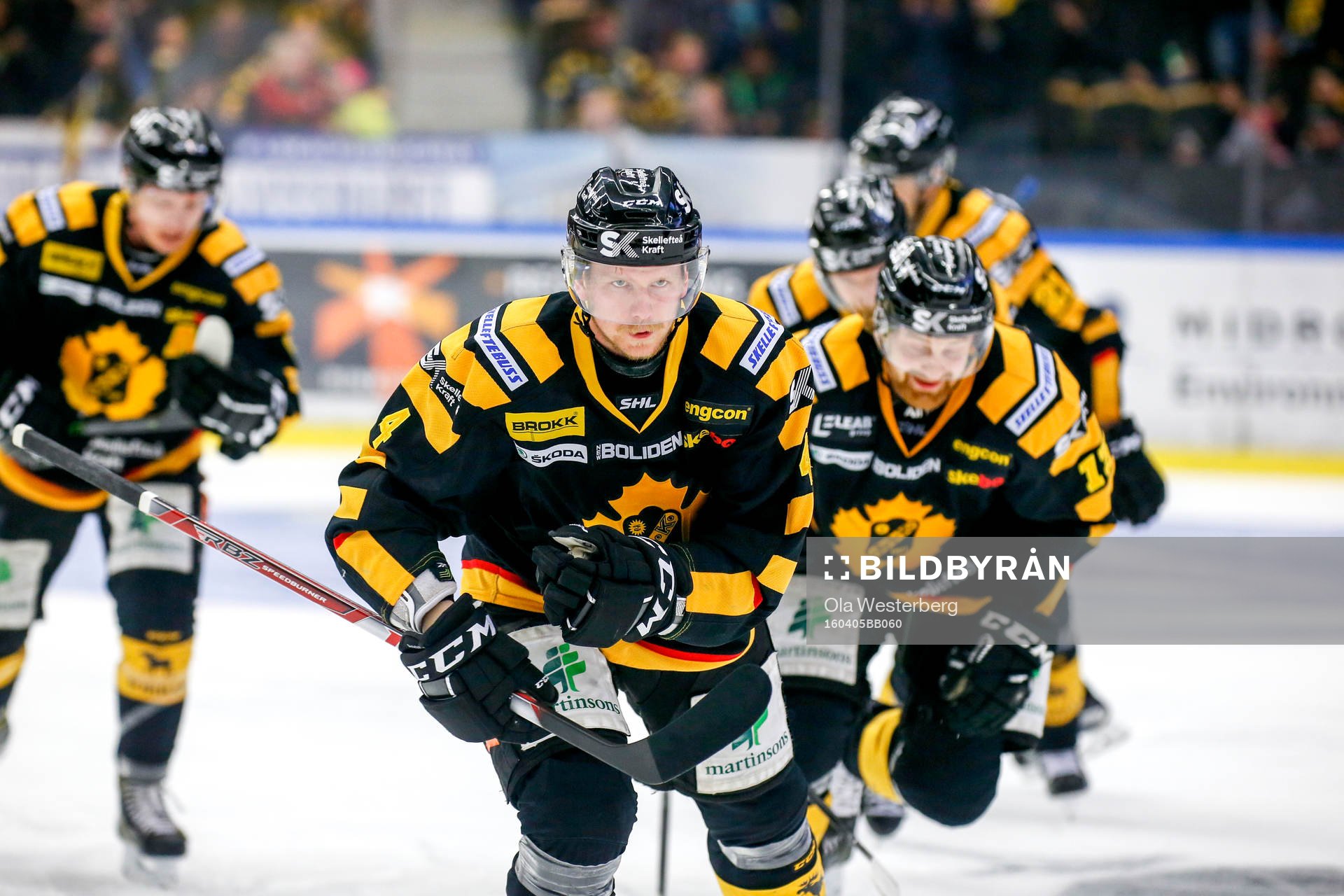 Skellefteås Tim Heed jublar