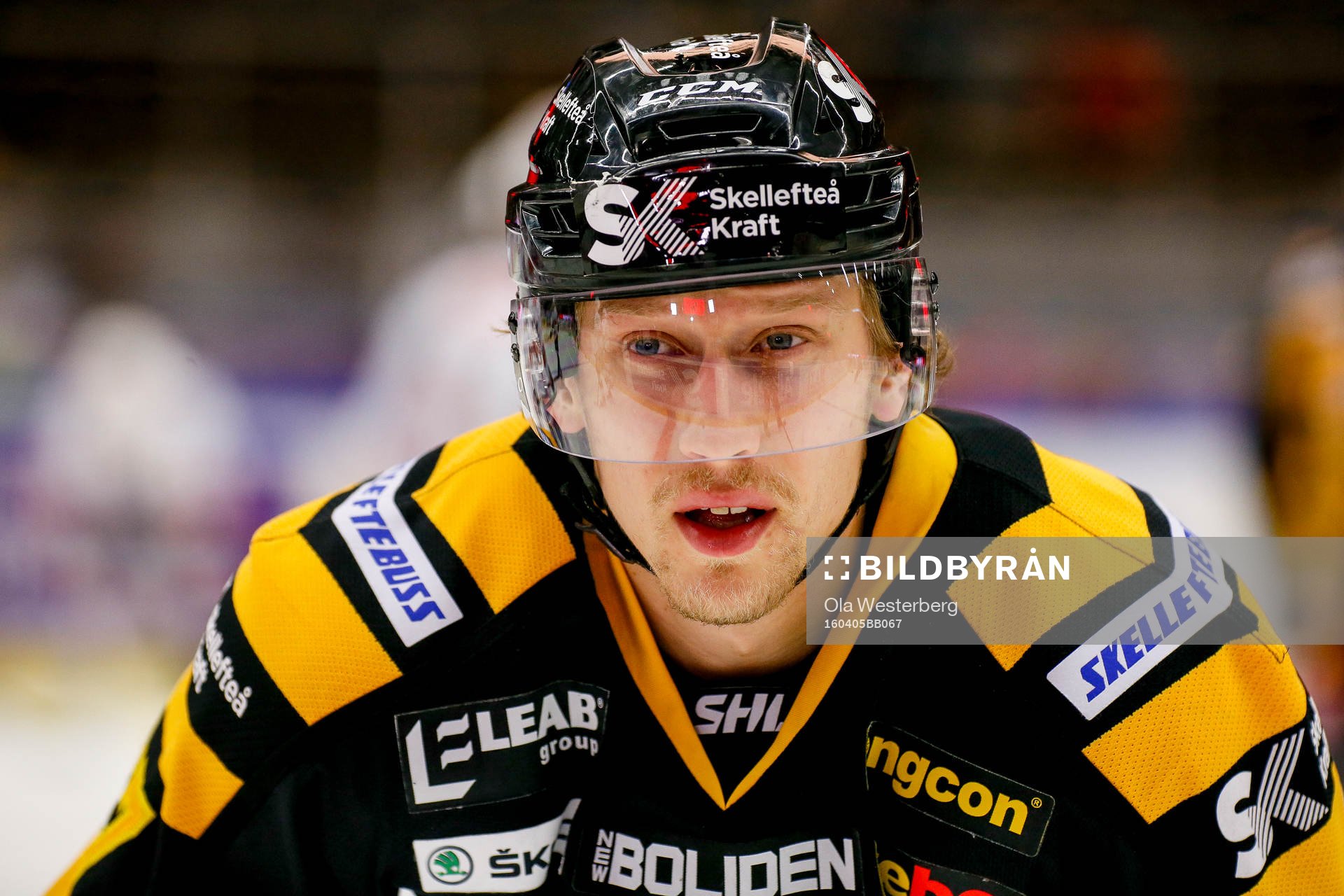 Skellefteås John Norman