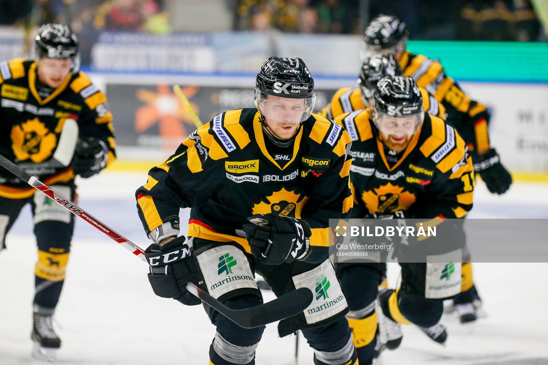 Skellefteås Tim Heed jublar