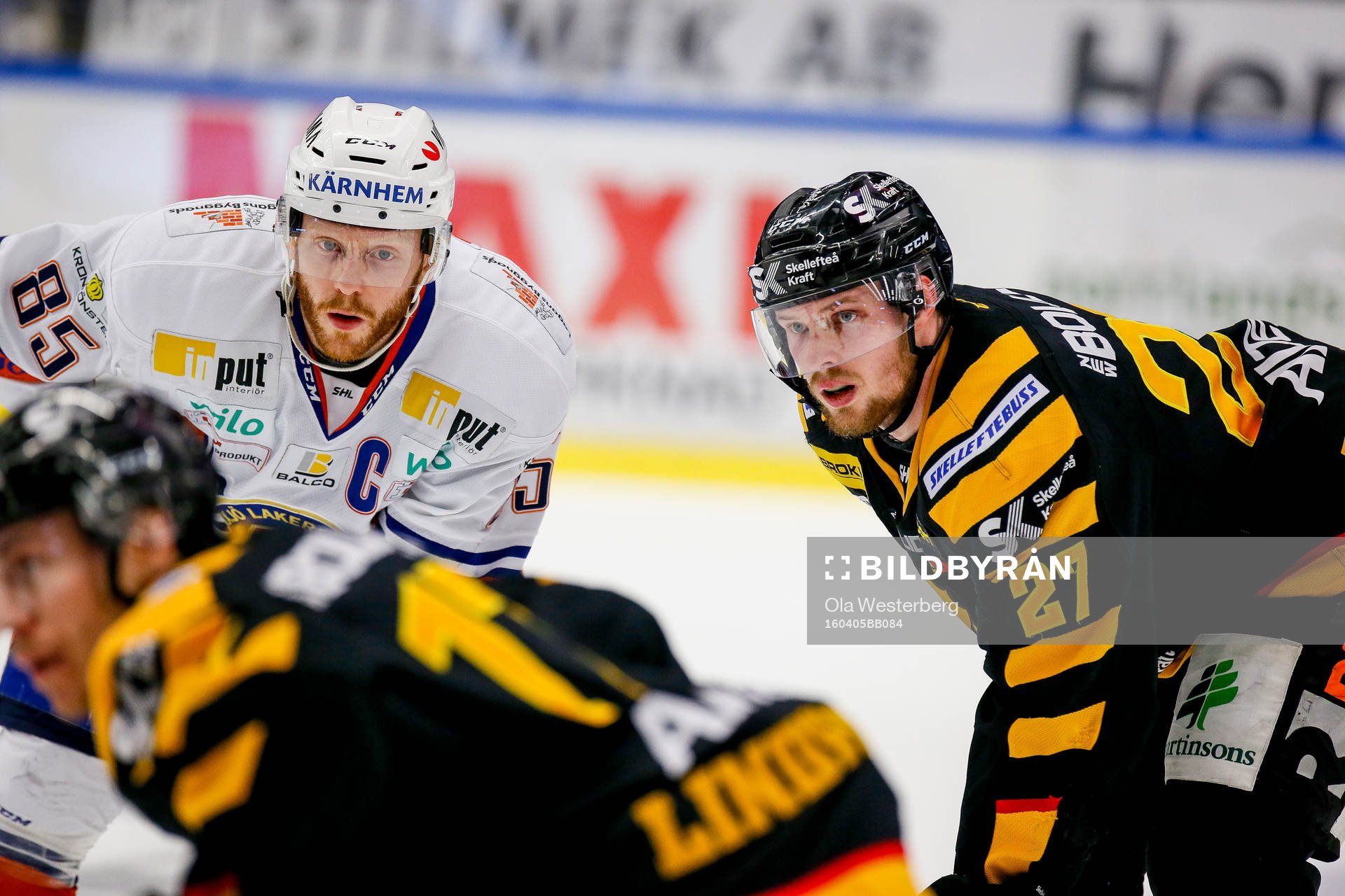 Skellefteås Martin Lundberg