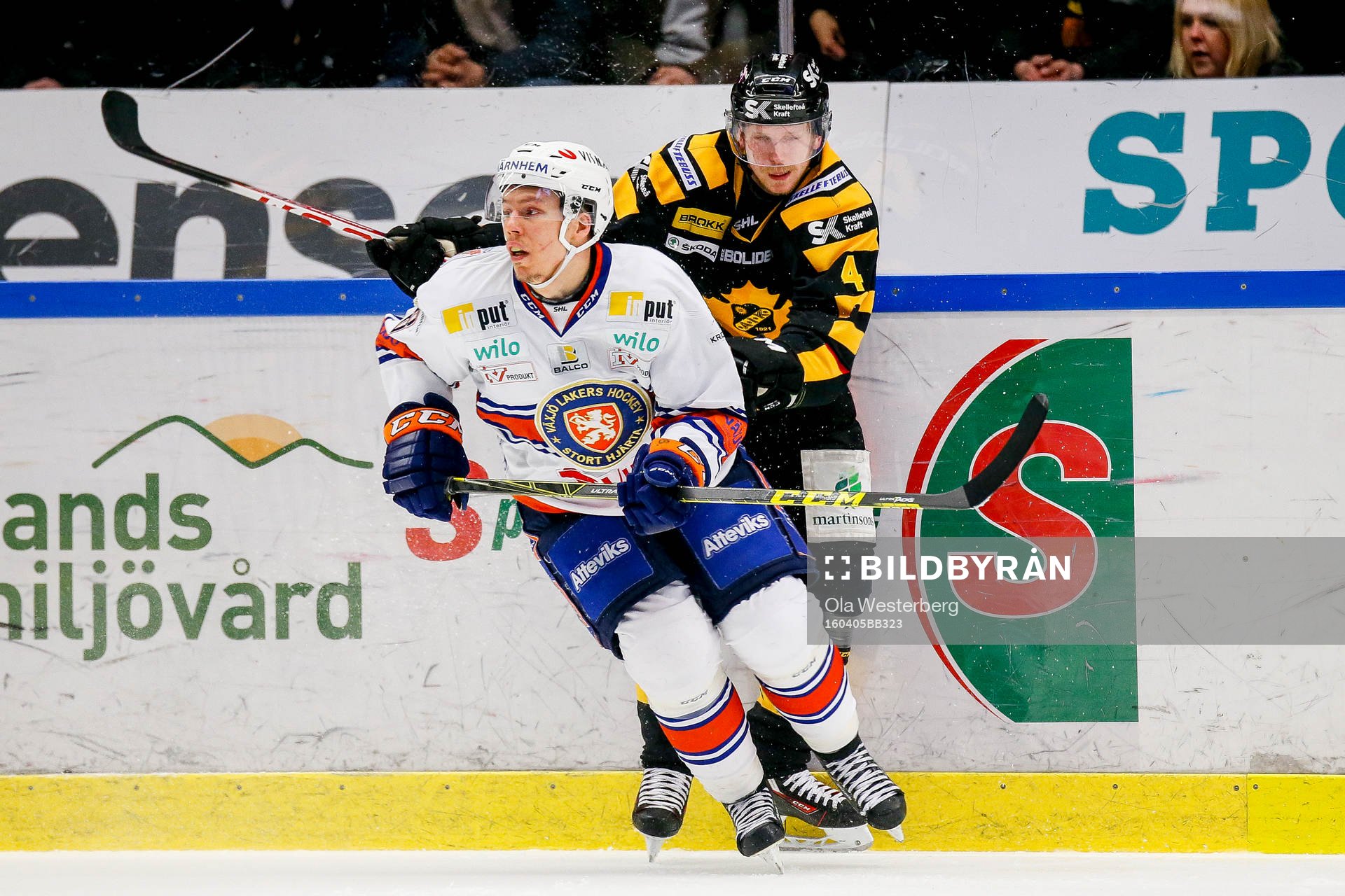 Skellefteås Tim Heed