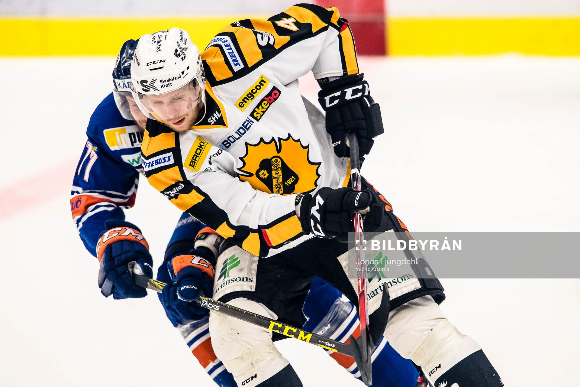 Skellefteås Tim Heed